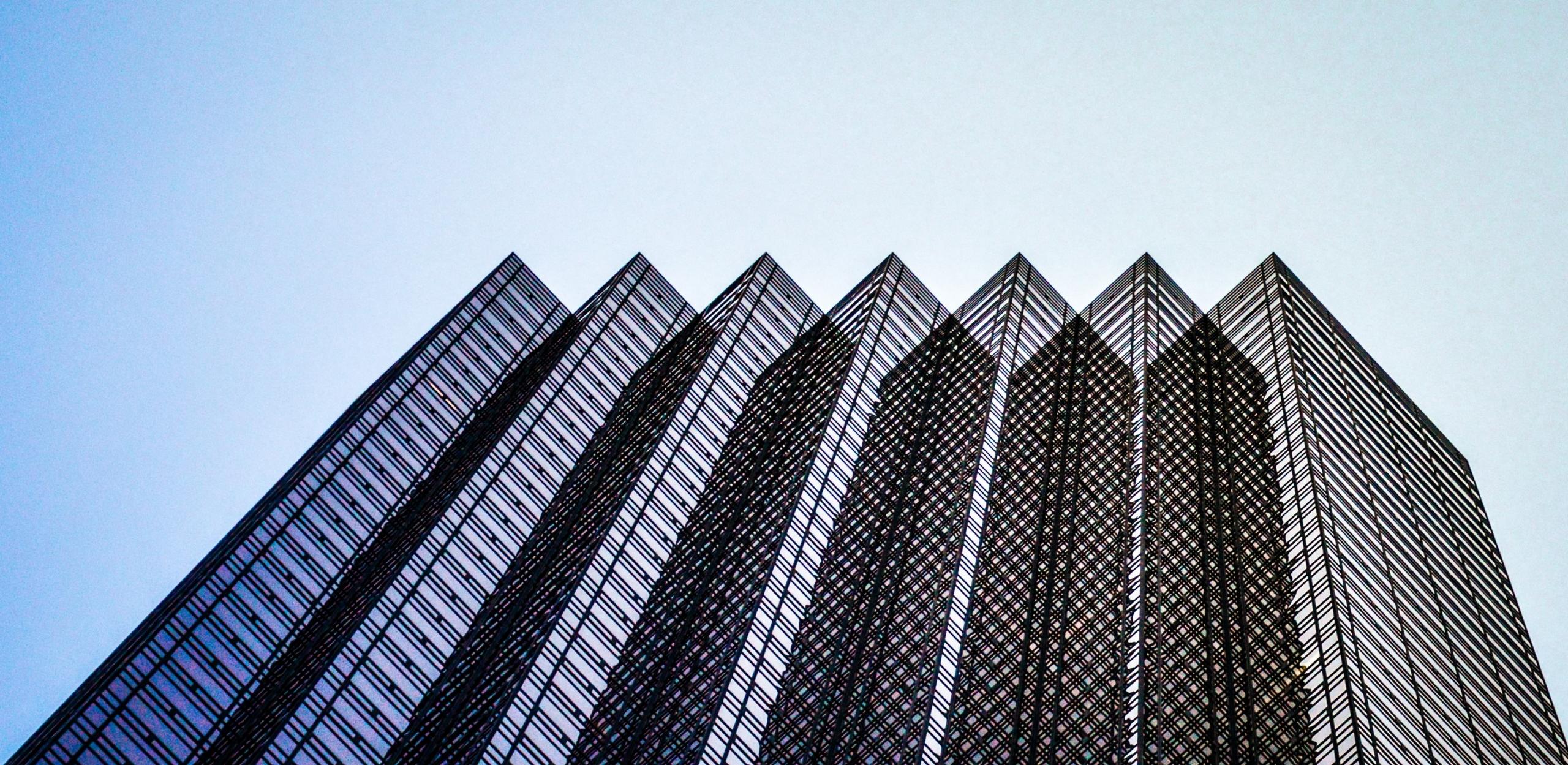 Accounting skills are appreciated by a lot of employers