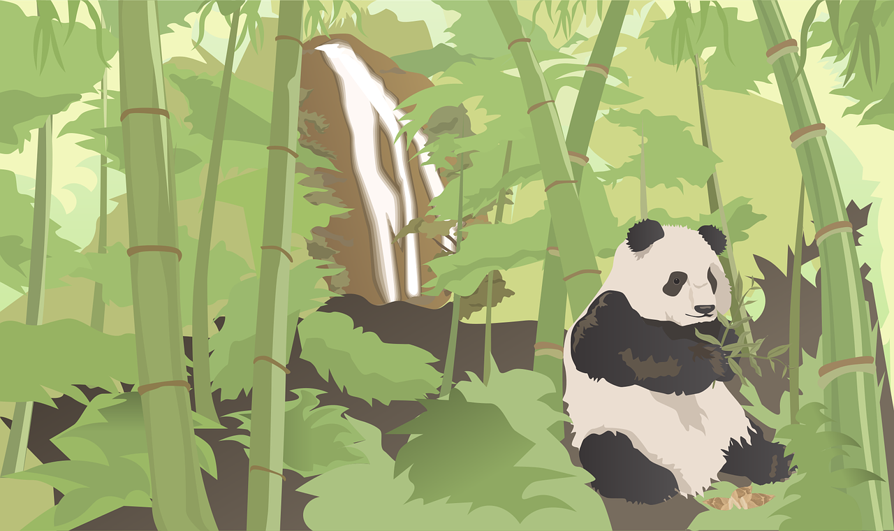 Study NCEA Chinese calmly like a Panda Eating Bamboo