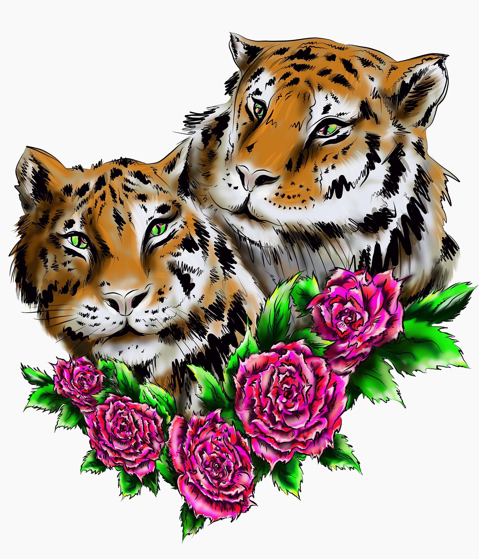 The year of the tiger - the year of Excellence in NCEA Chinese