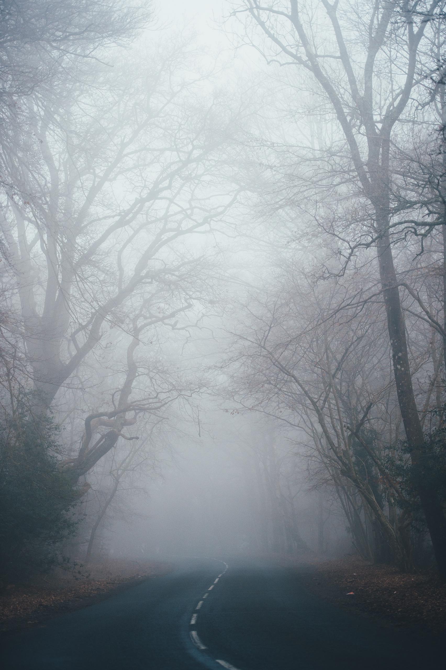 Road covered by mist