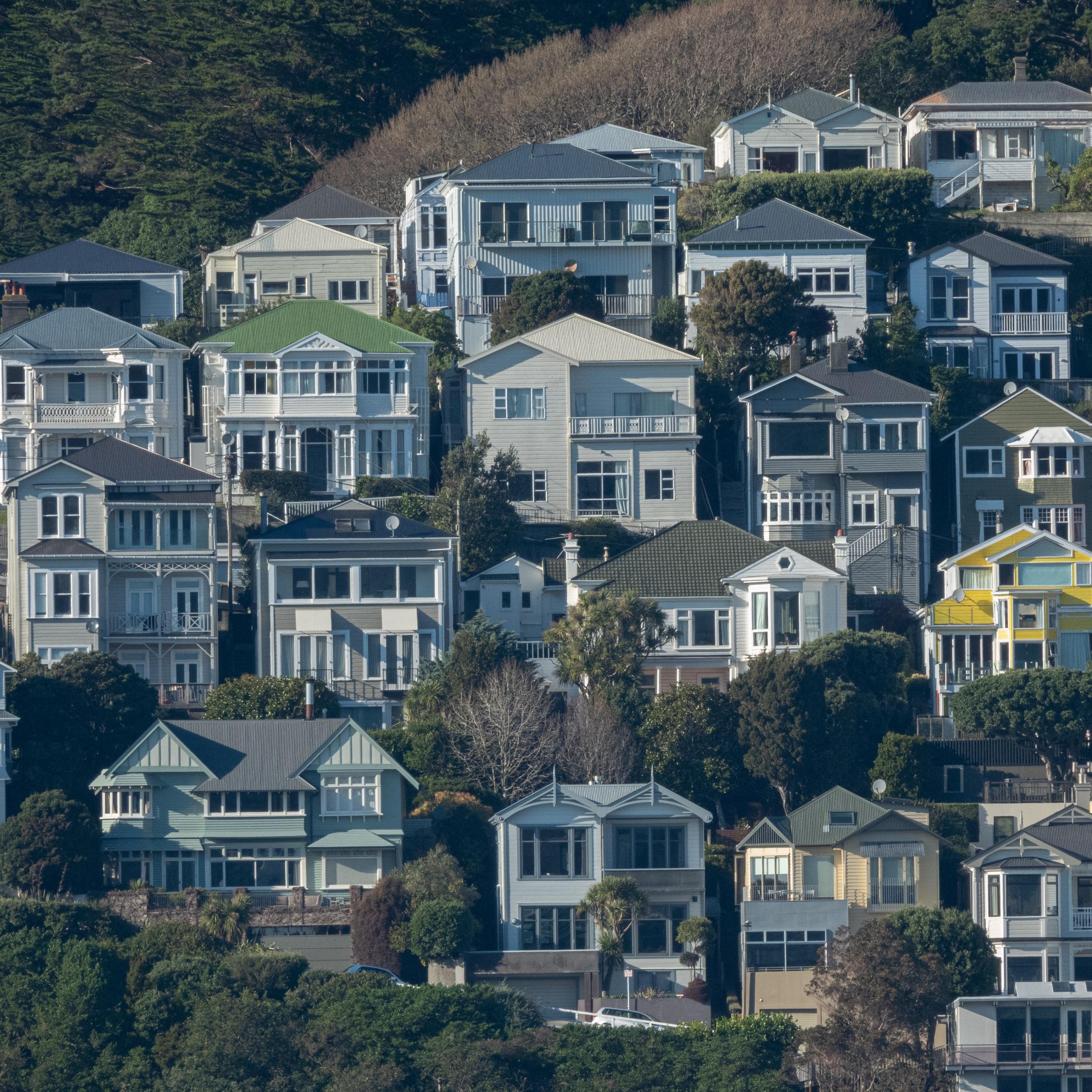 Houses in Wellington