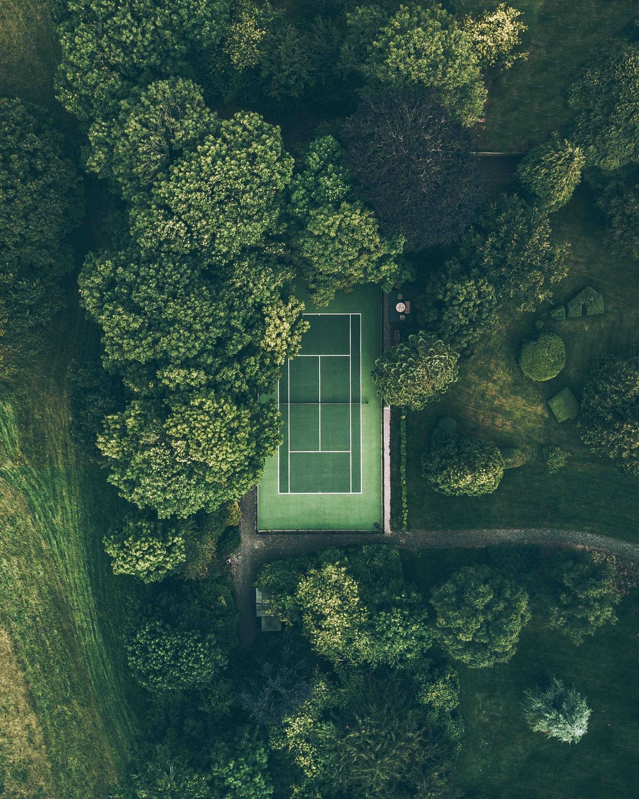 Tennis court surrounded by trees