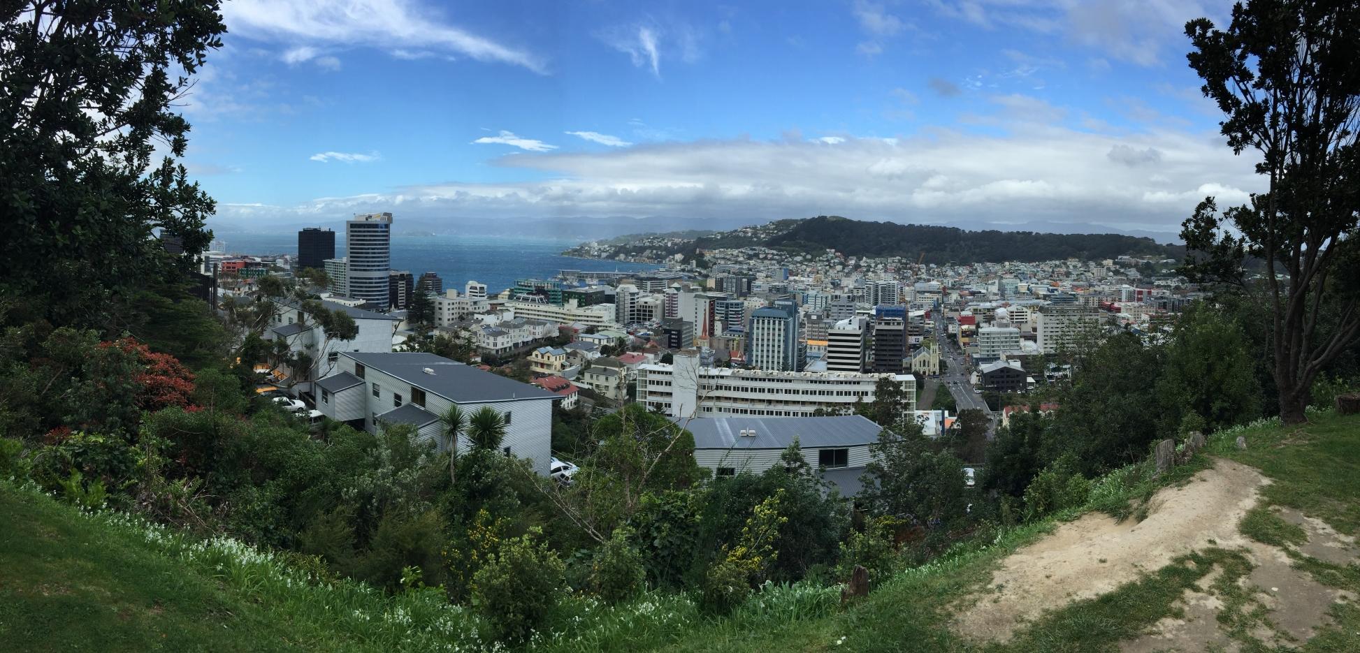 City View