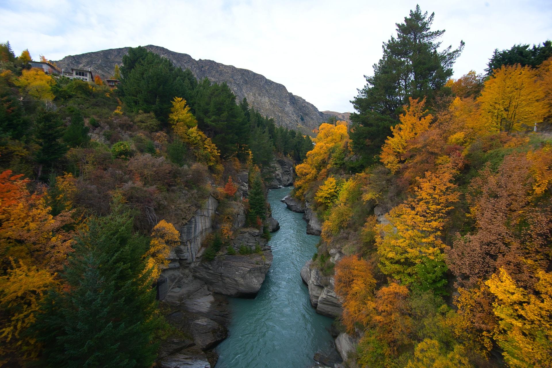 A river in Arrowtown, New Zealand.