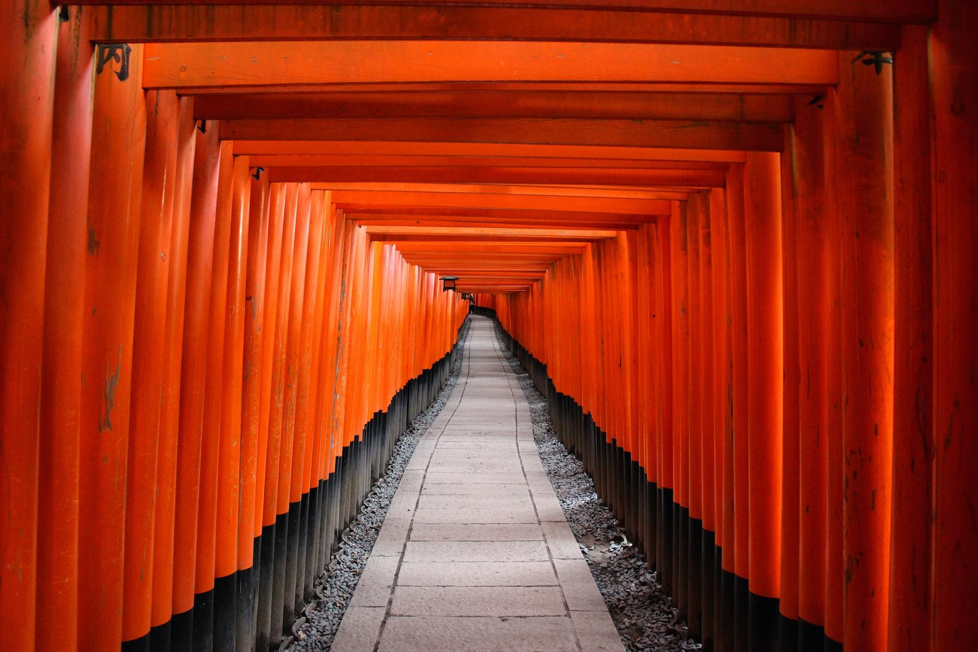 A set of orange gates in Kyoto, Japan.