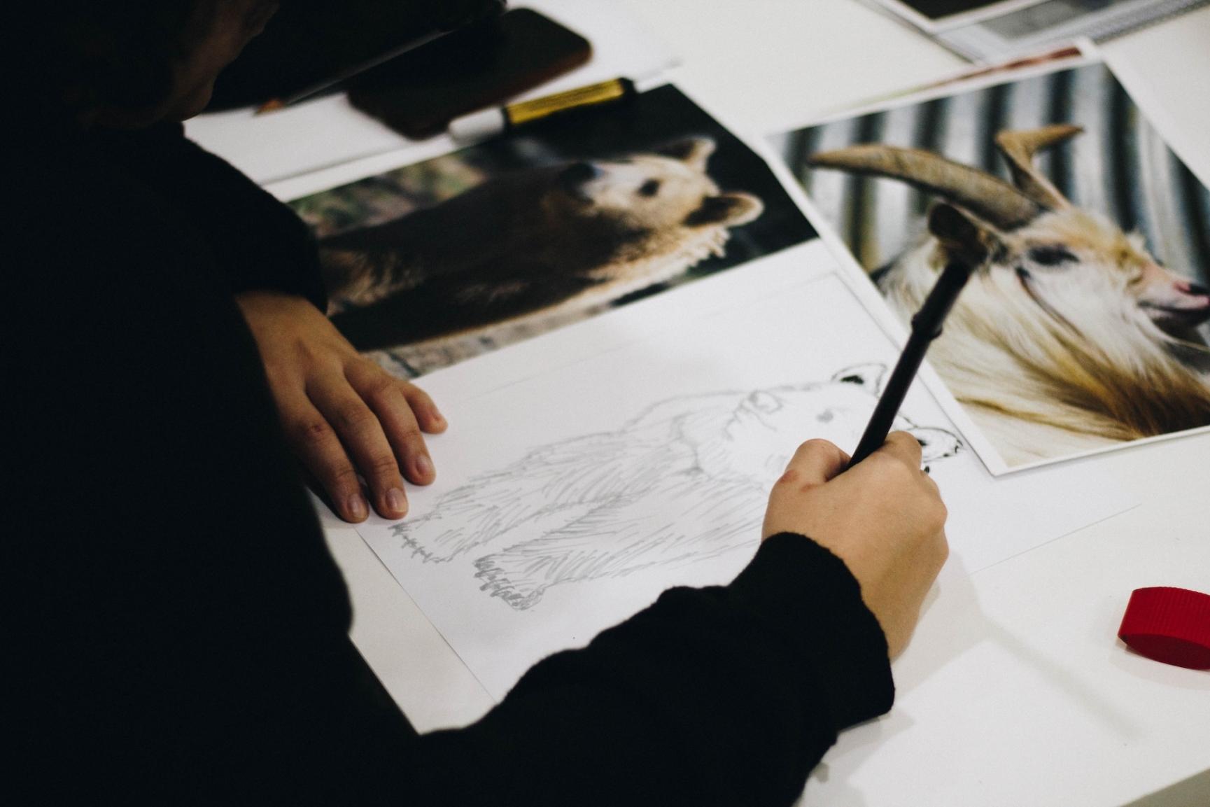 Discover Life Drawing Classes Christchurch