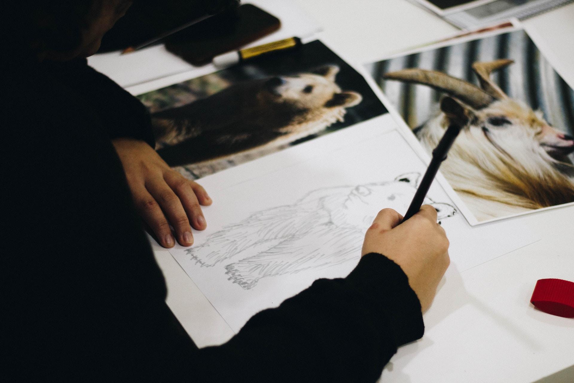 A person sketching a bear.