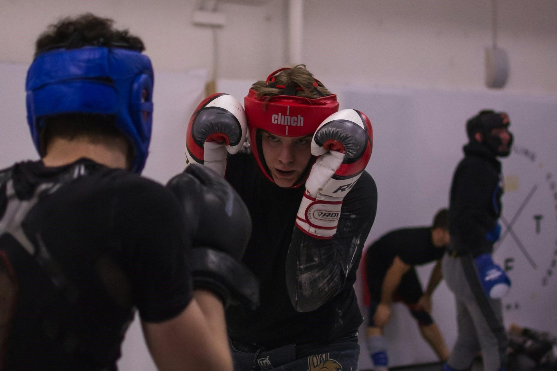 Two boxers working together.