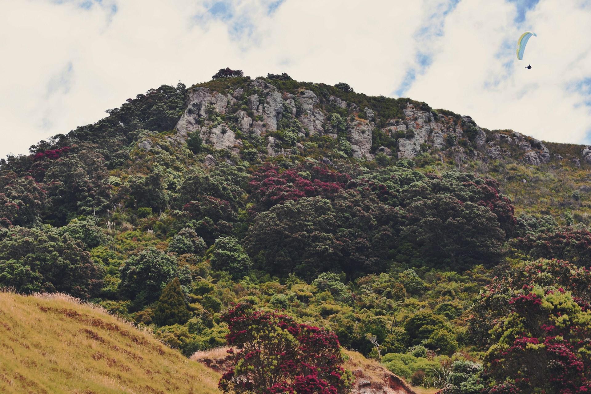 A view looking up Mount Maunganui in Tauranga, New Zealand.