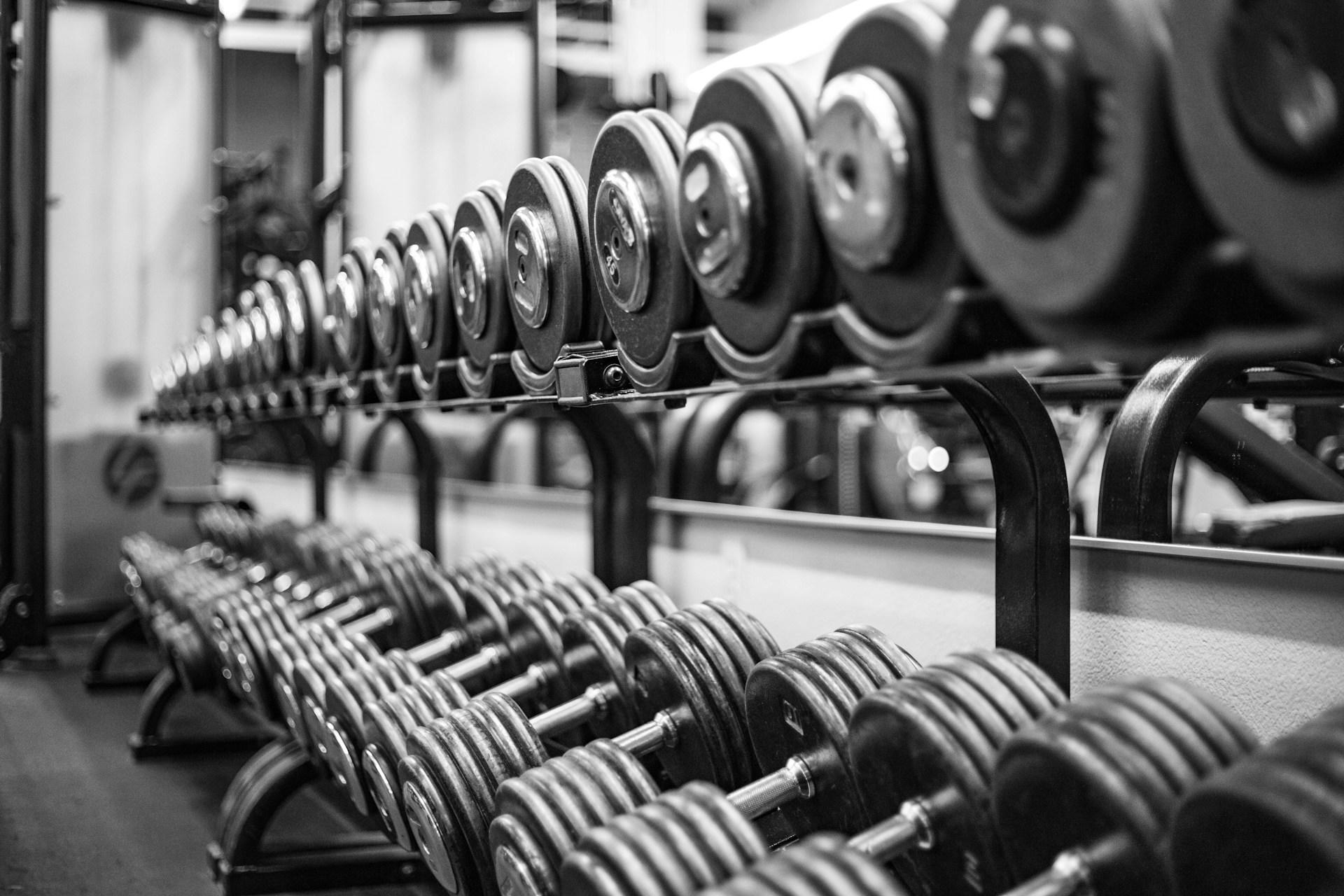 A closeup of free weights in a gym.