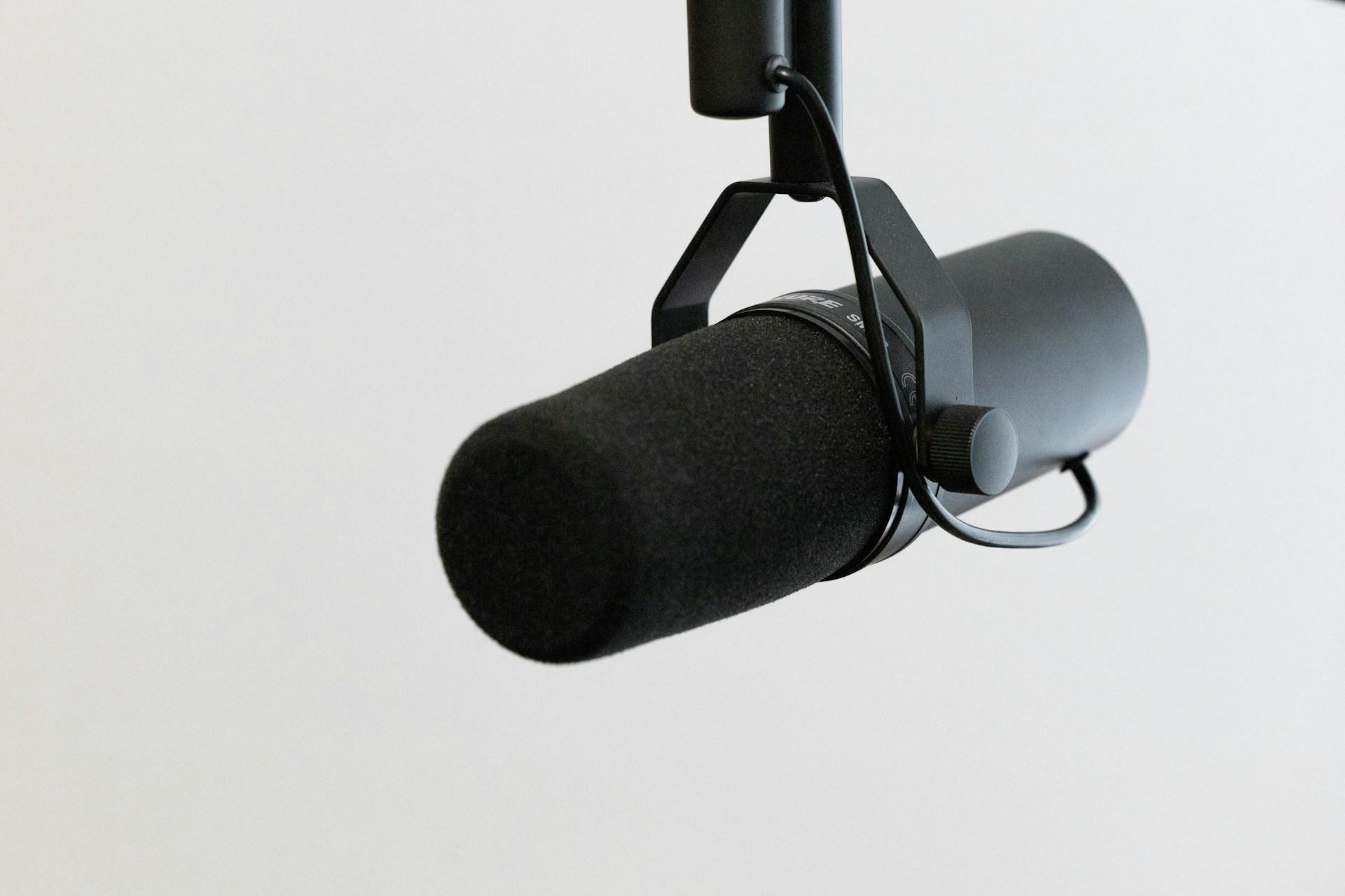 A studio microphone.