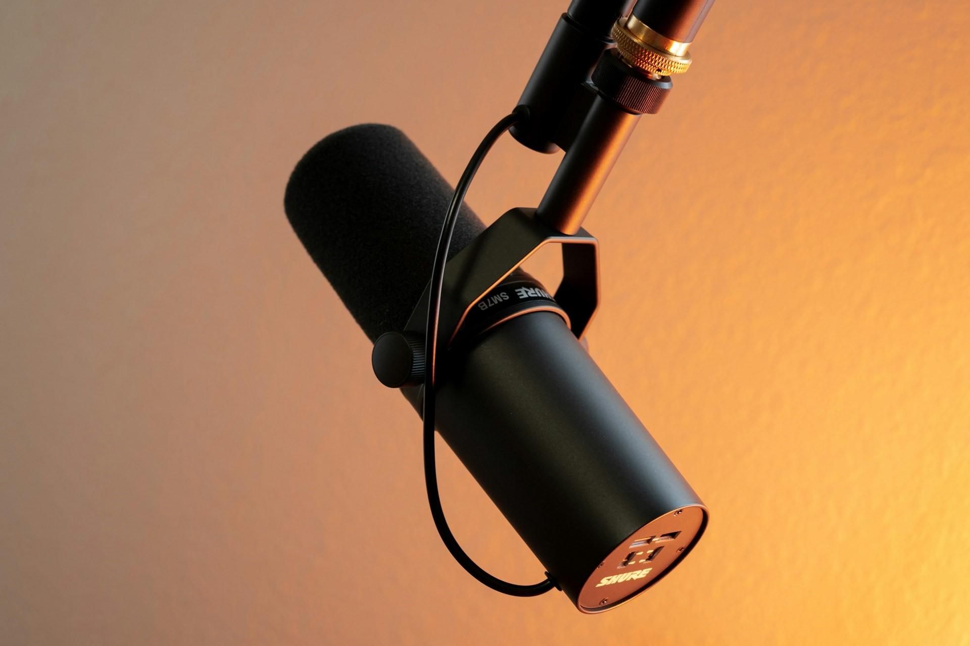 A Shure SM7B microphone.