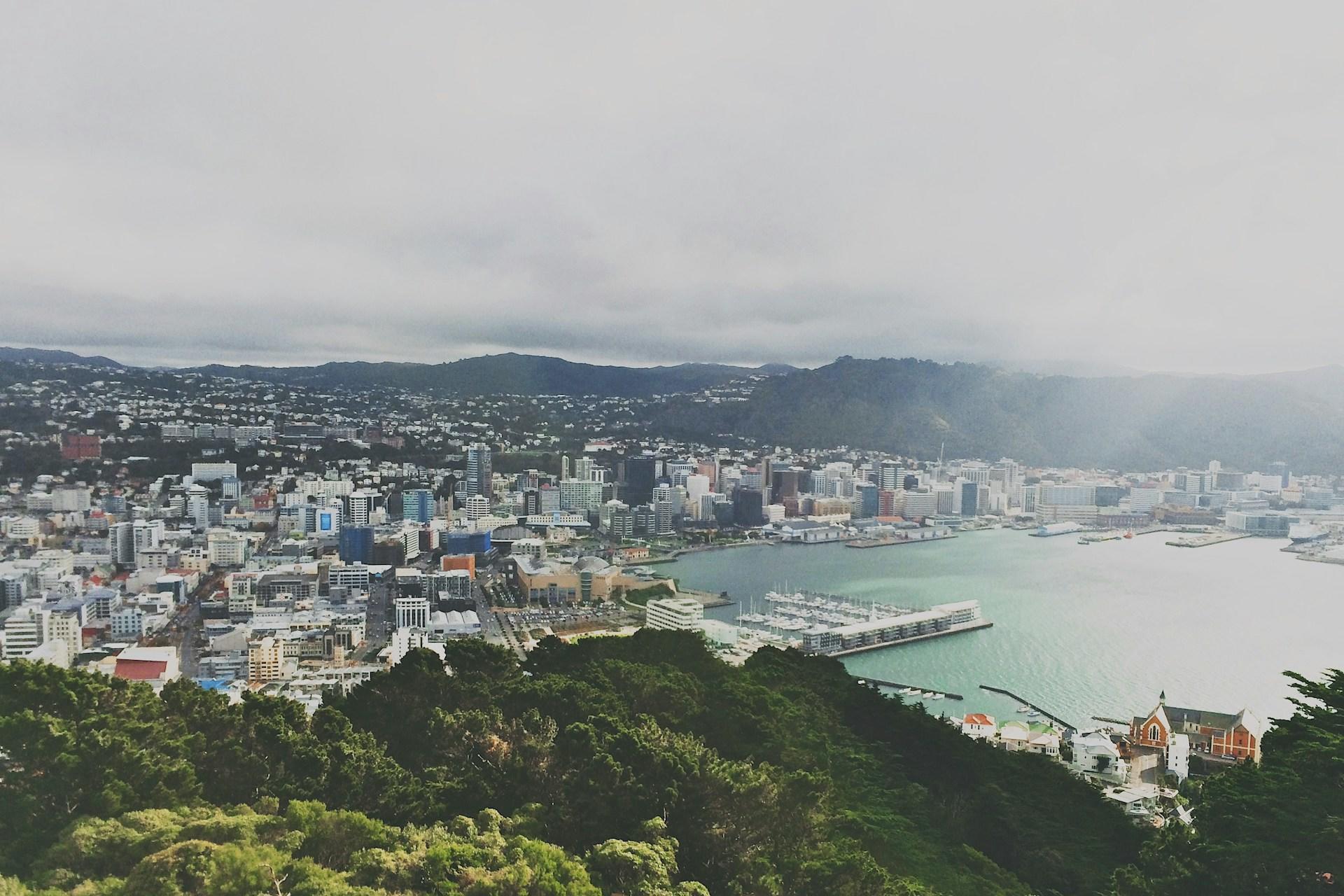 A view of Wellington from Mount Victoria.