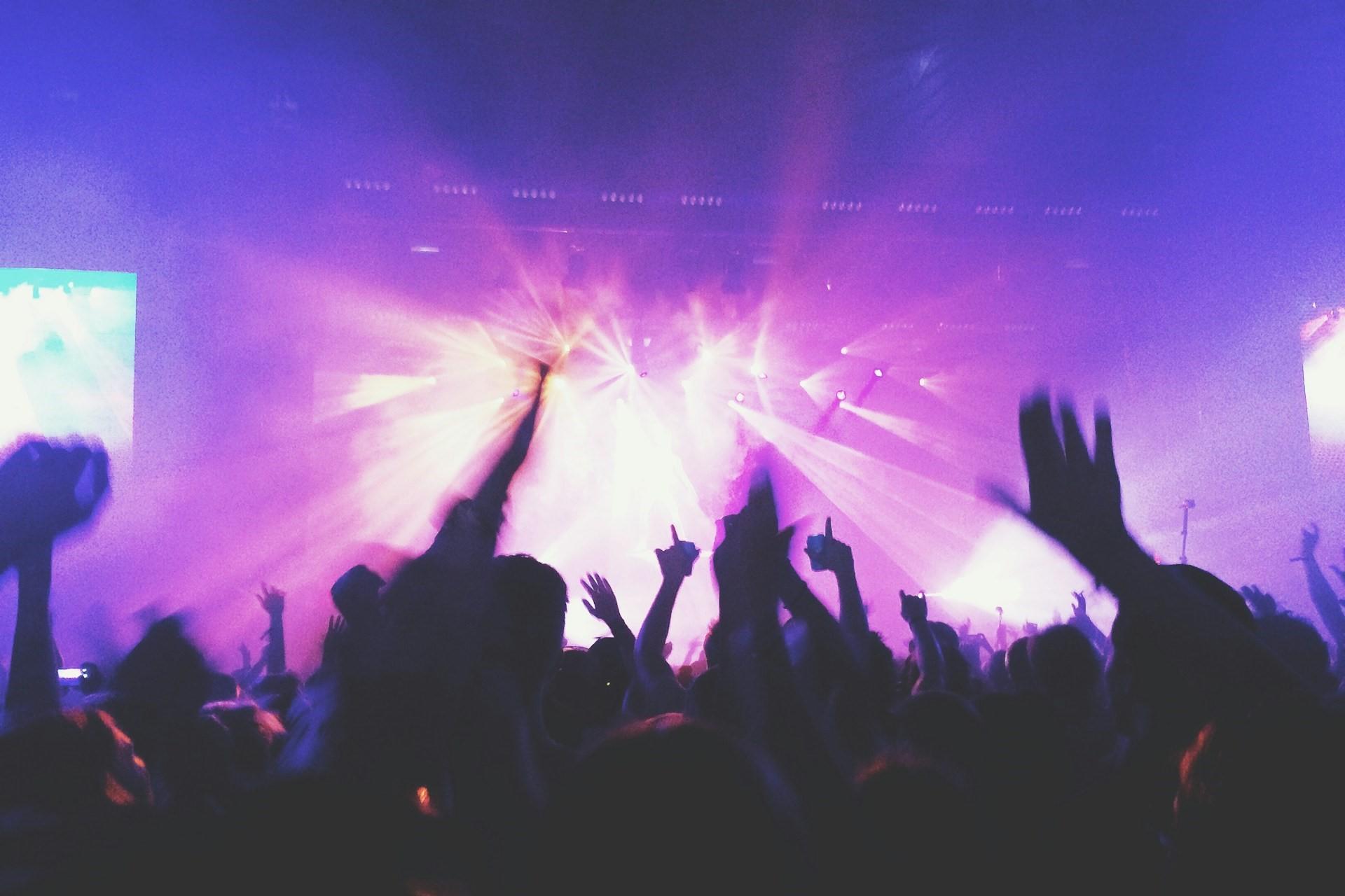 Concertgoers at a gig.