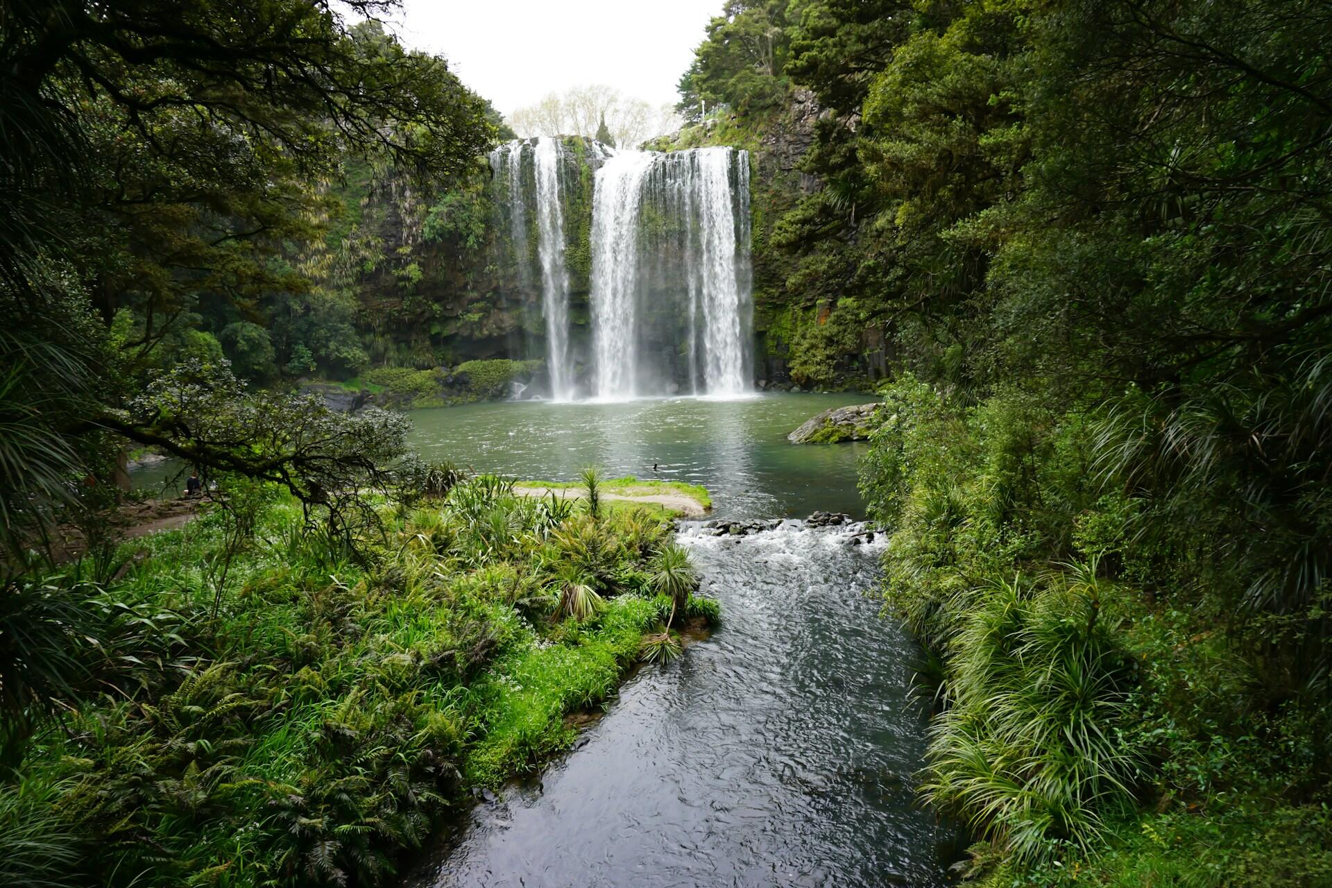 Two majestic waterfalls cascade into a serene pool, surrounded by lush greenery and vibrant ferns, creating a tranquil natural oasis.