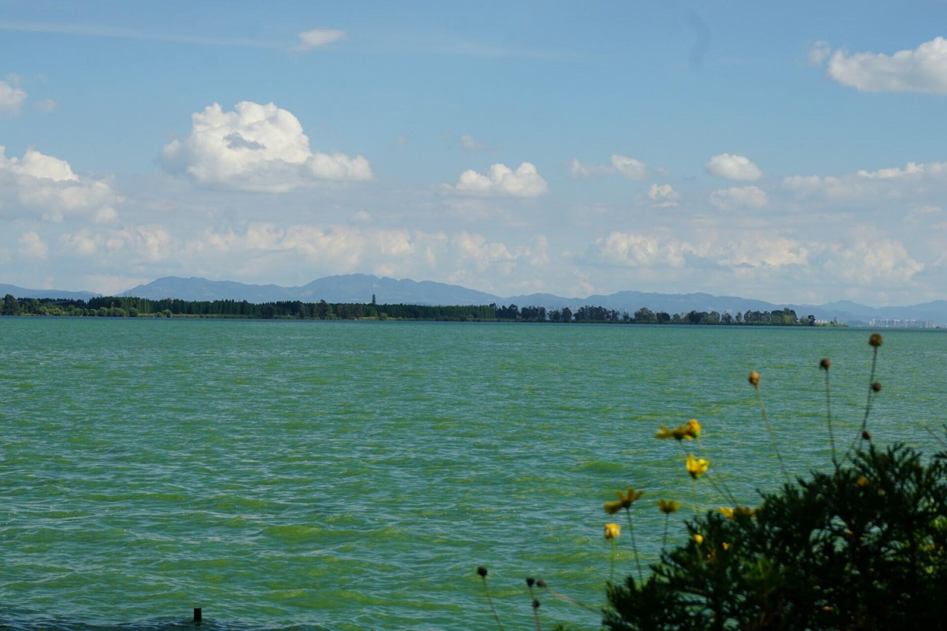 A serene lake surrounded by green mountains and fluffy clouds, with yellow flowers in the foreground.