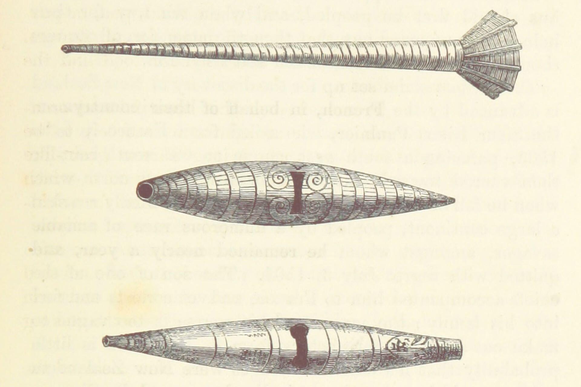 An illustration of three Maori war trumpets.