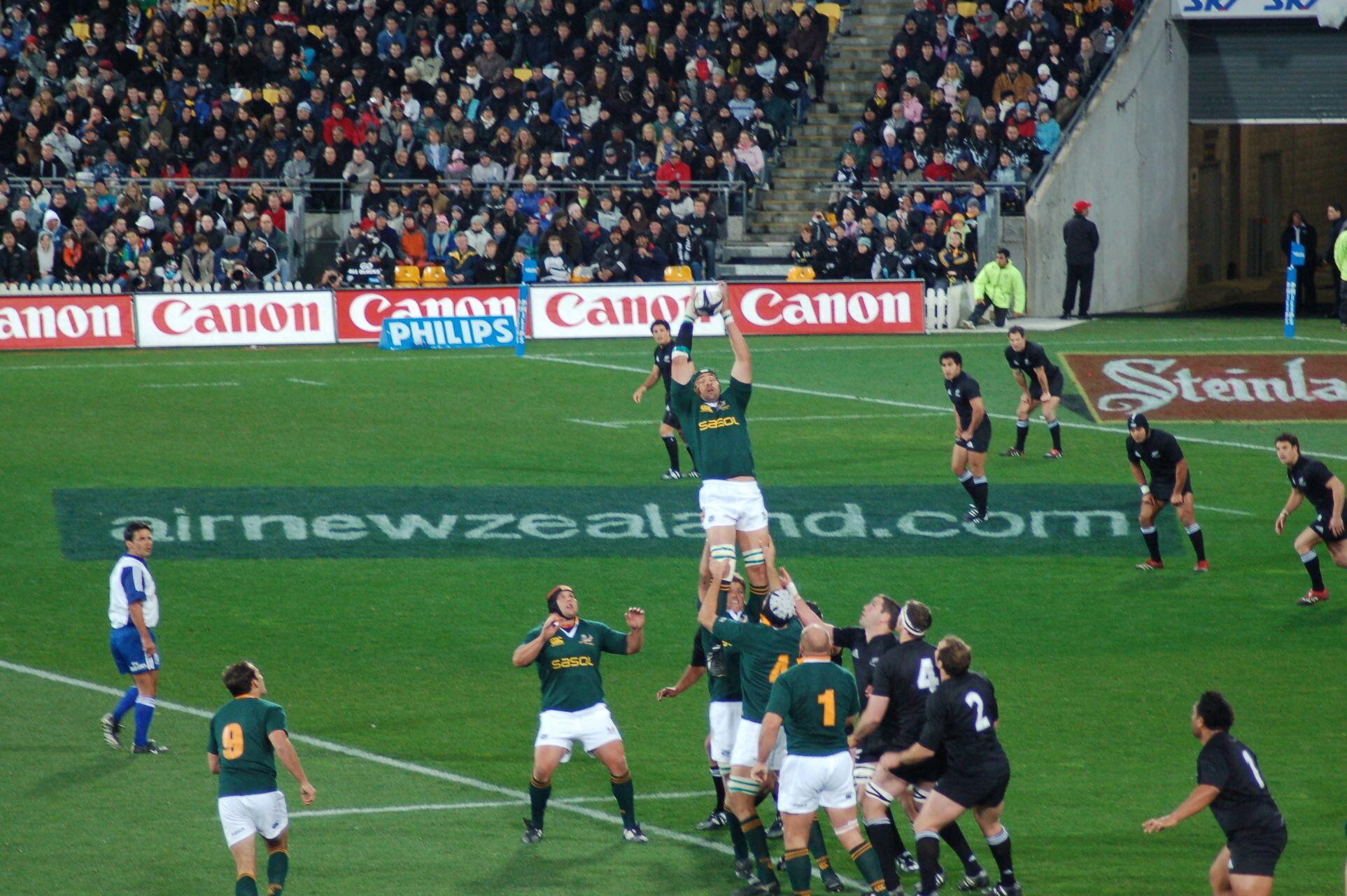 New Zealand in a match against South Africa.