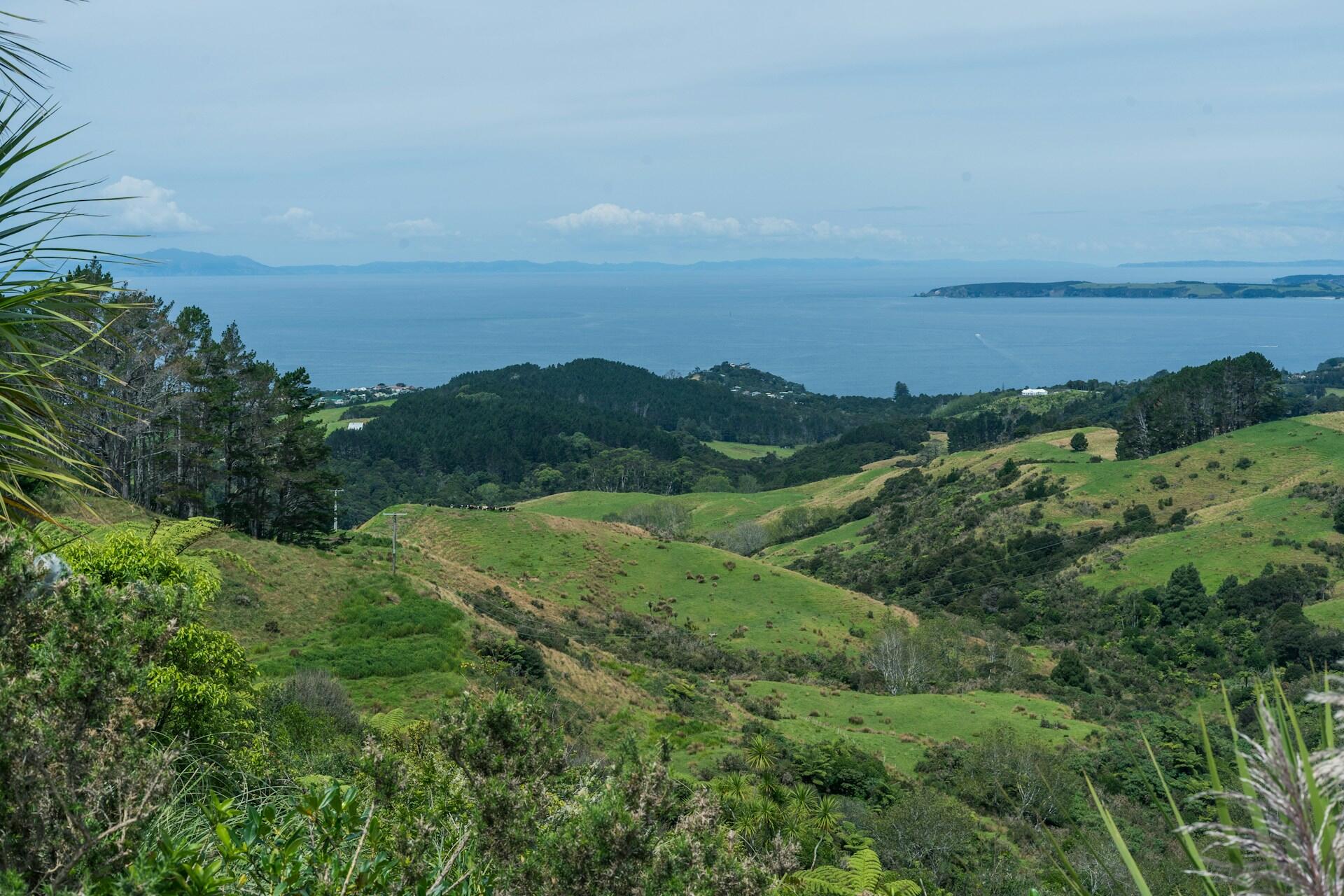 A view over hills in Auckland, New Zealand.