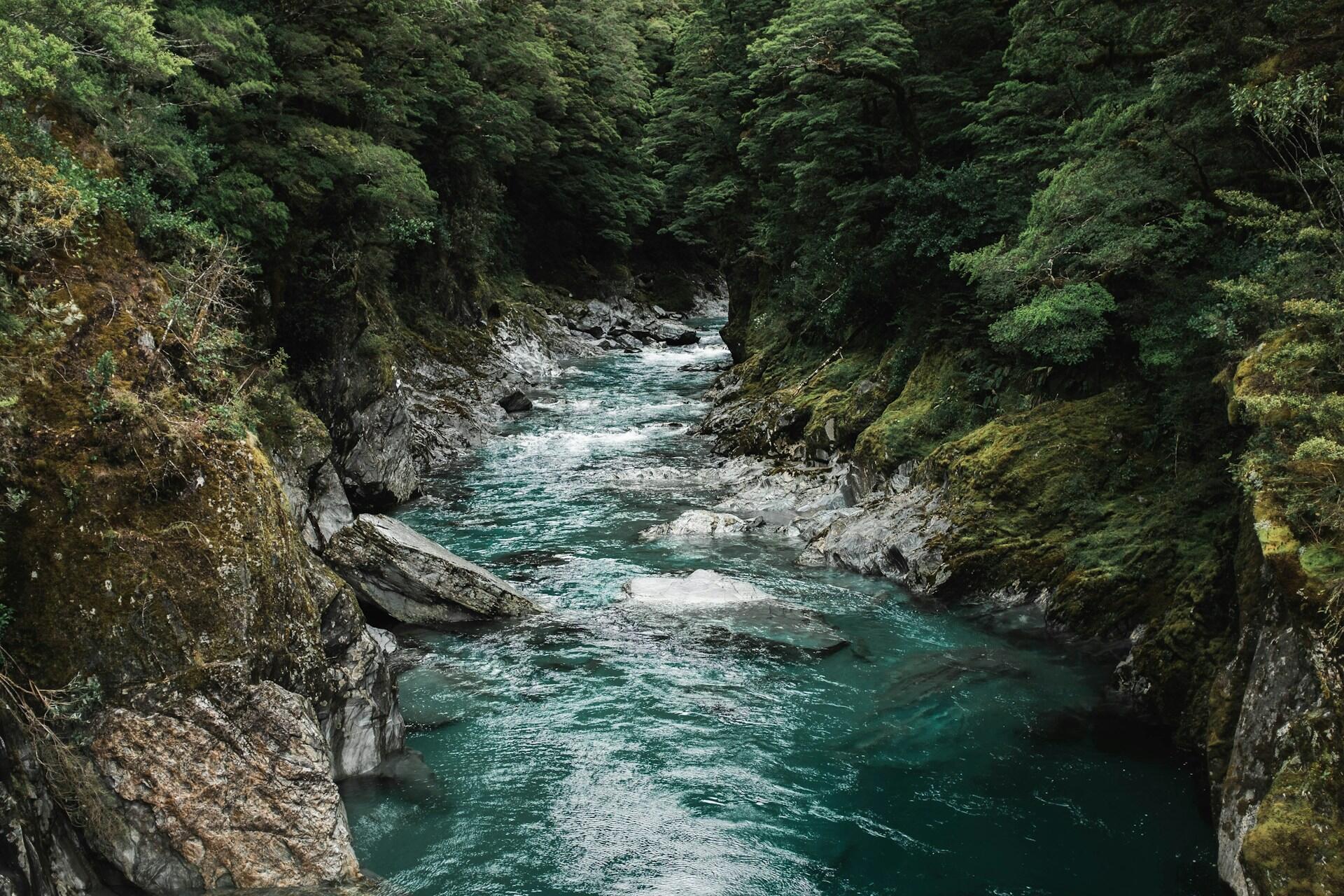 clear river flowing through rocky gorge forest