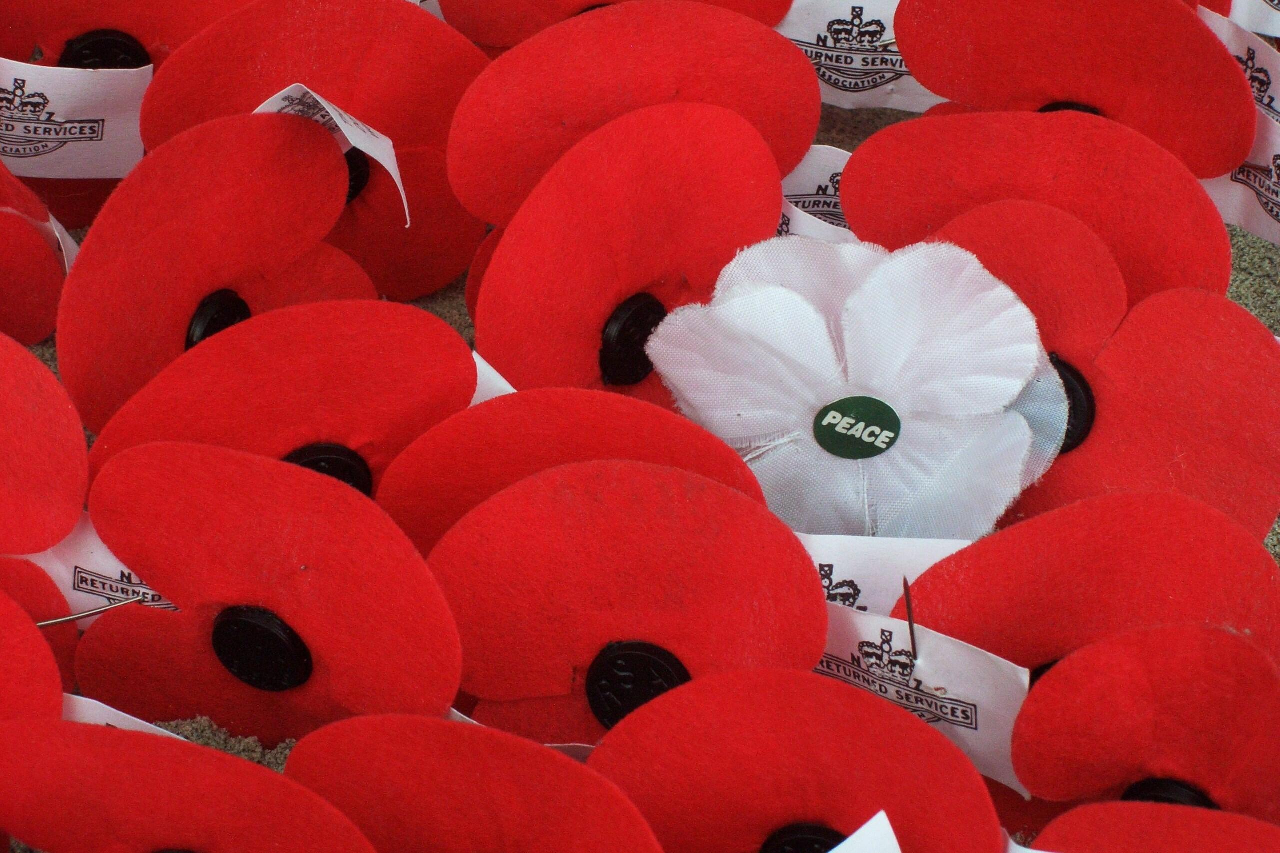 Anzac Poppies.