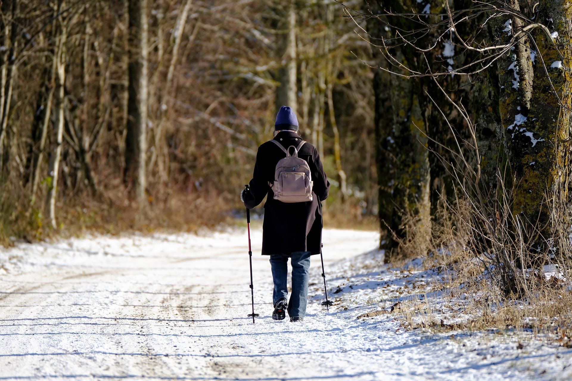 What exercises can seniors do?