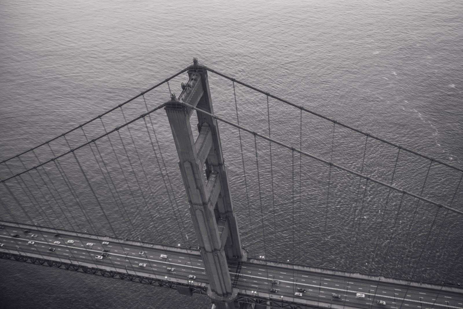 San Francisco Landscape