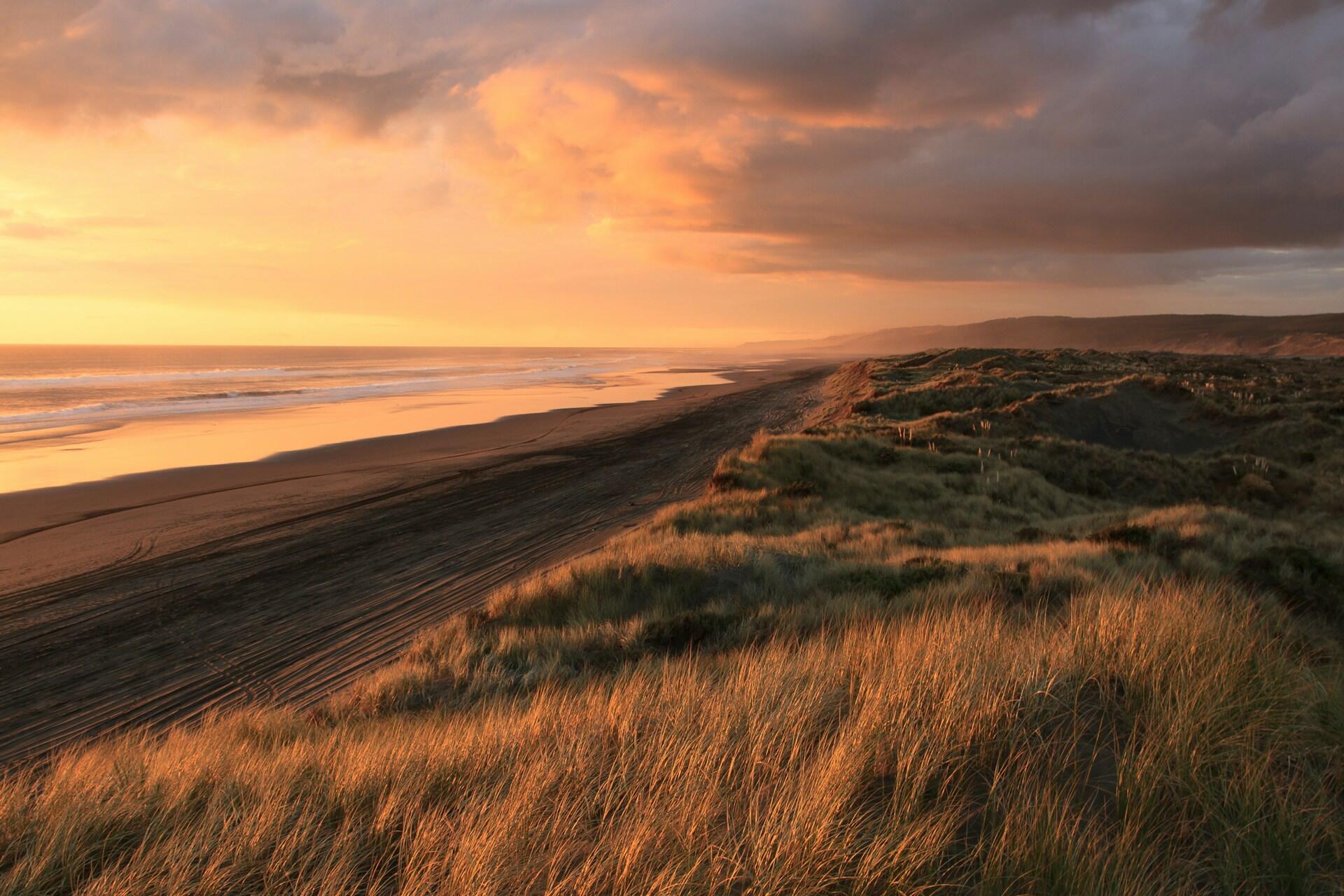 A view of the beach in New Zealand.
