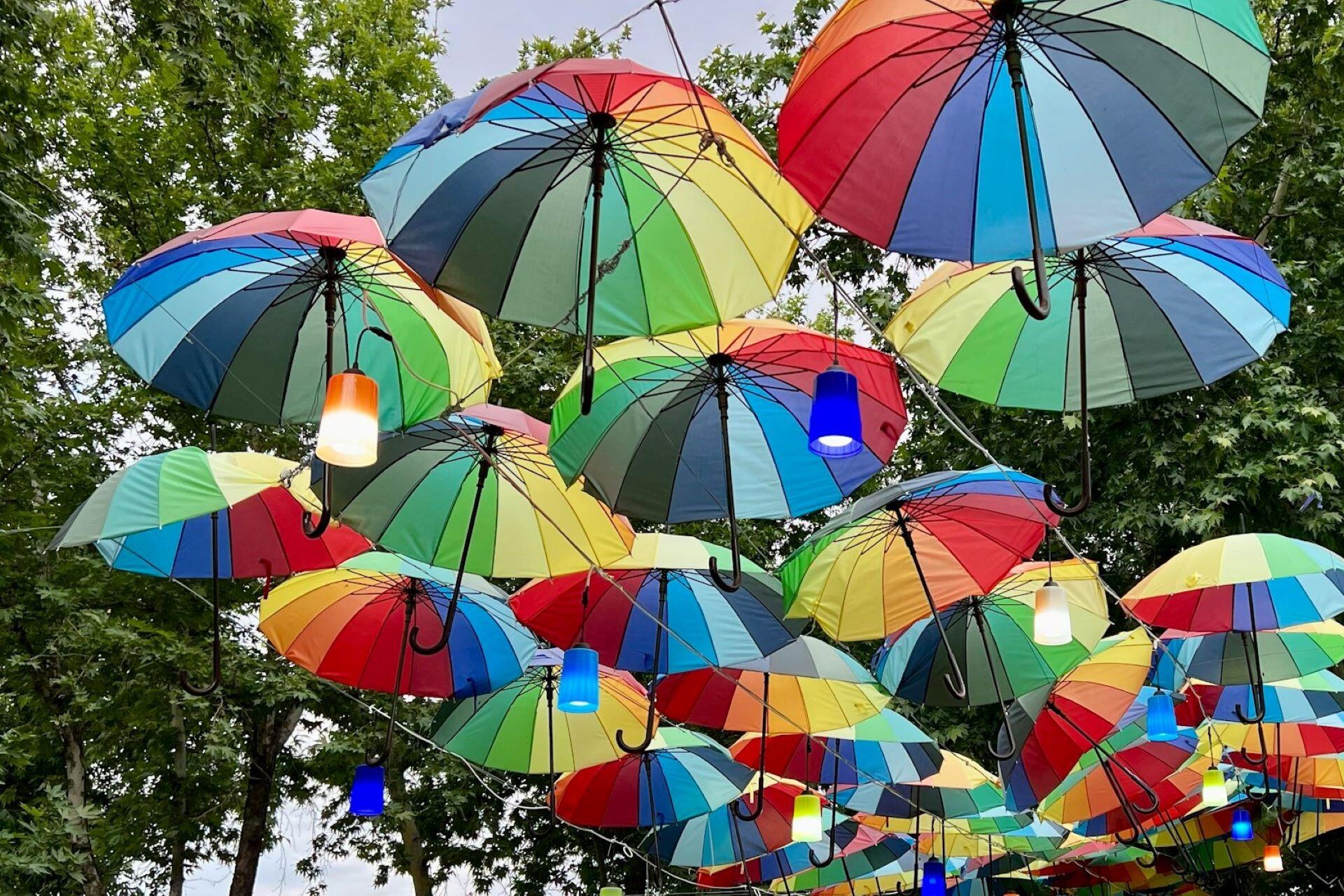 Coloured umbrellas hanging in the street.