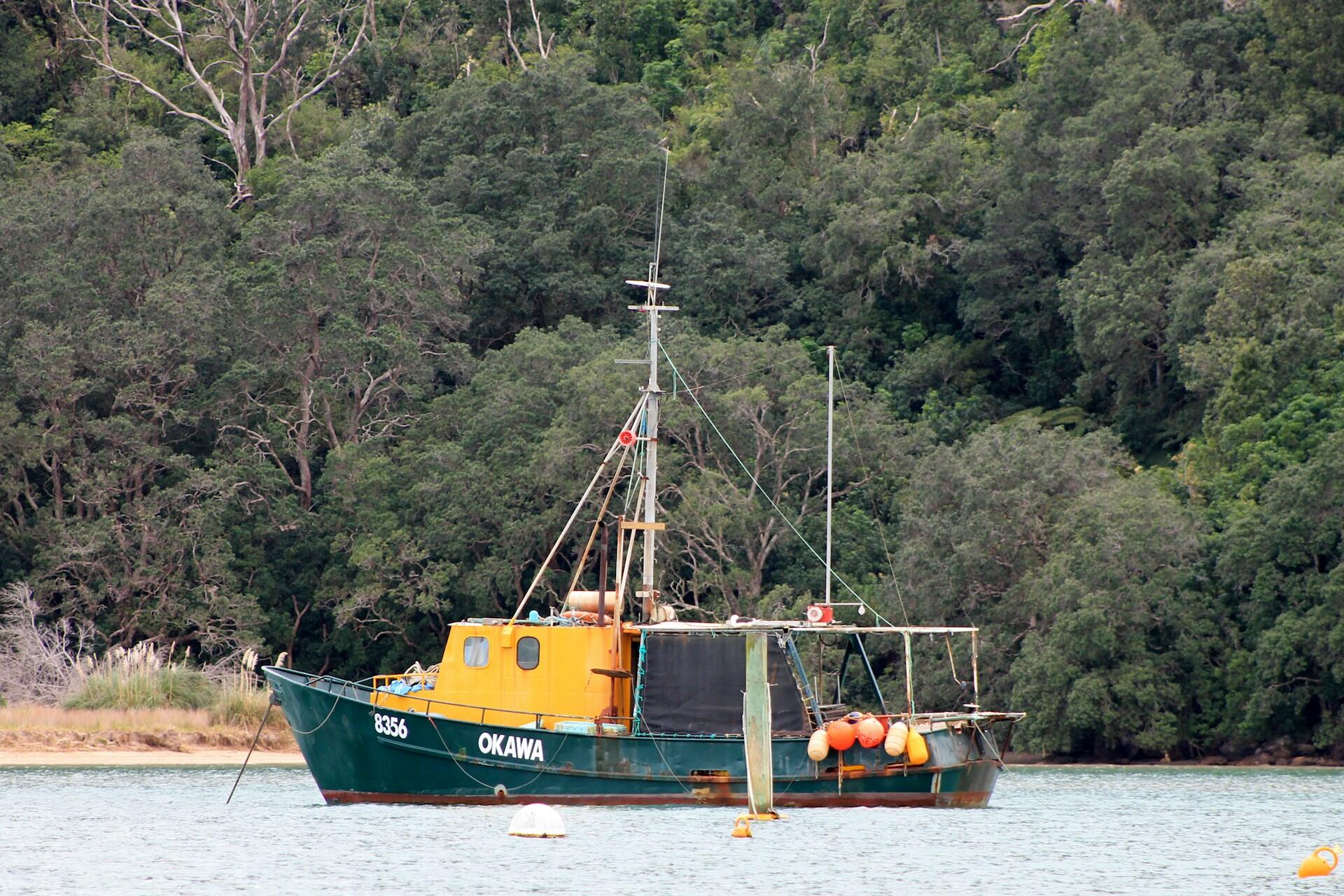 Small fishing boat anchored near the shore with dense forest behind it in Whangamata, New Zealand.
