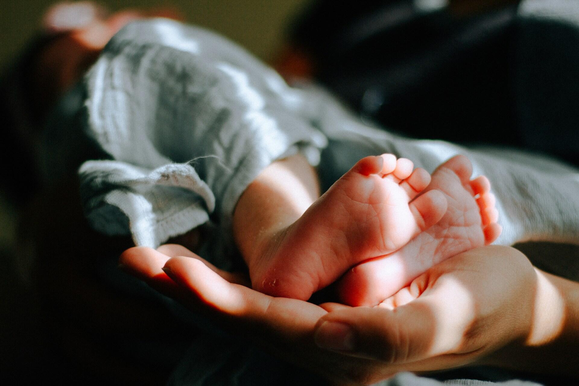 Baby feet held in adult hands
