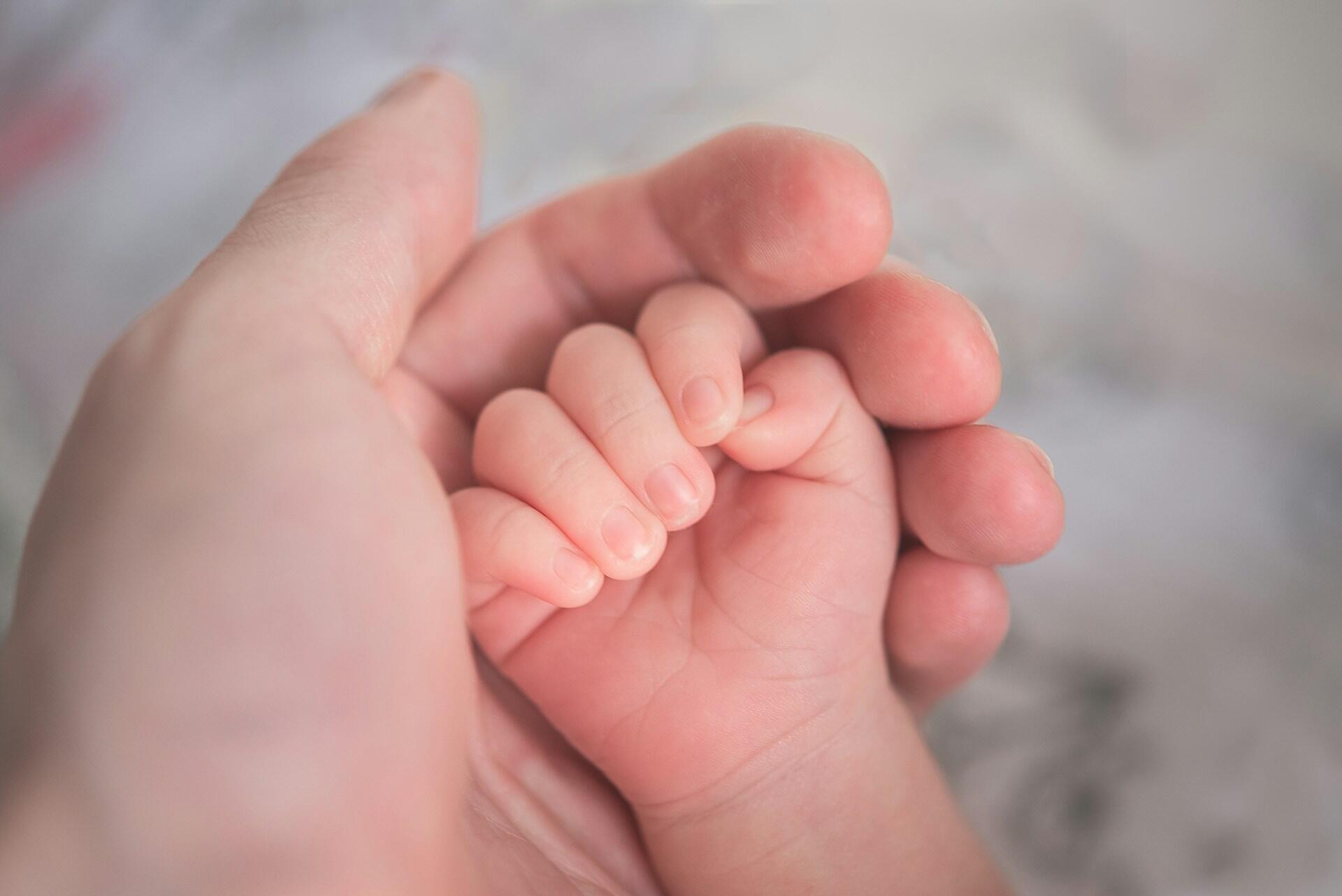 Baby hand holding adult finger close up