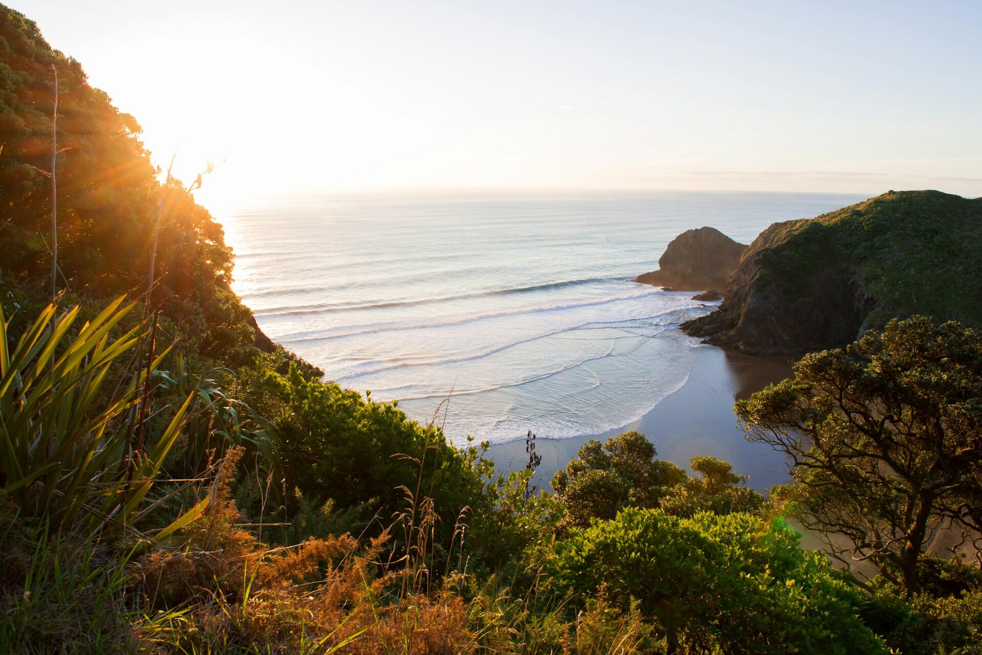 Sunlight over a coastal bay with waves, cliffs, trees and native plants