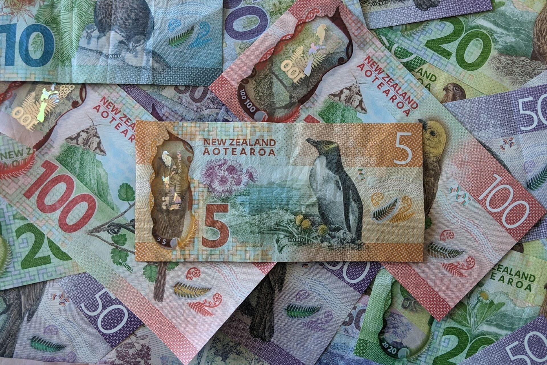 New Zealand banknotes in several denominations spread across a surface