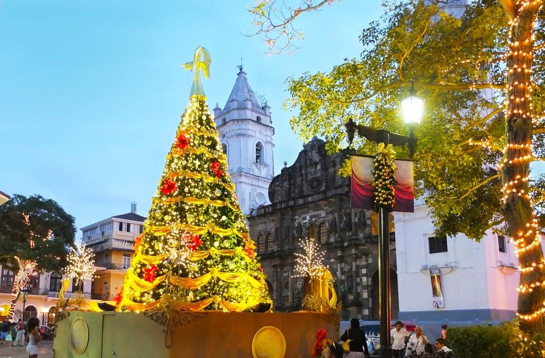 El árbol de Navidad y el nacimiento