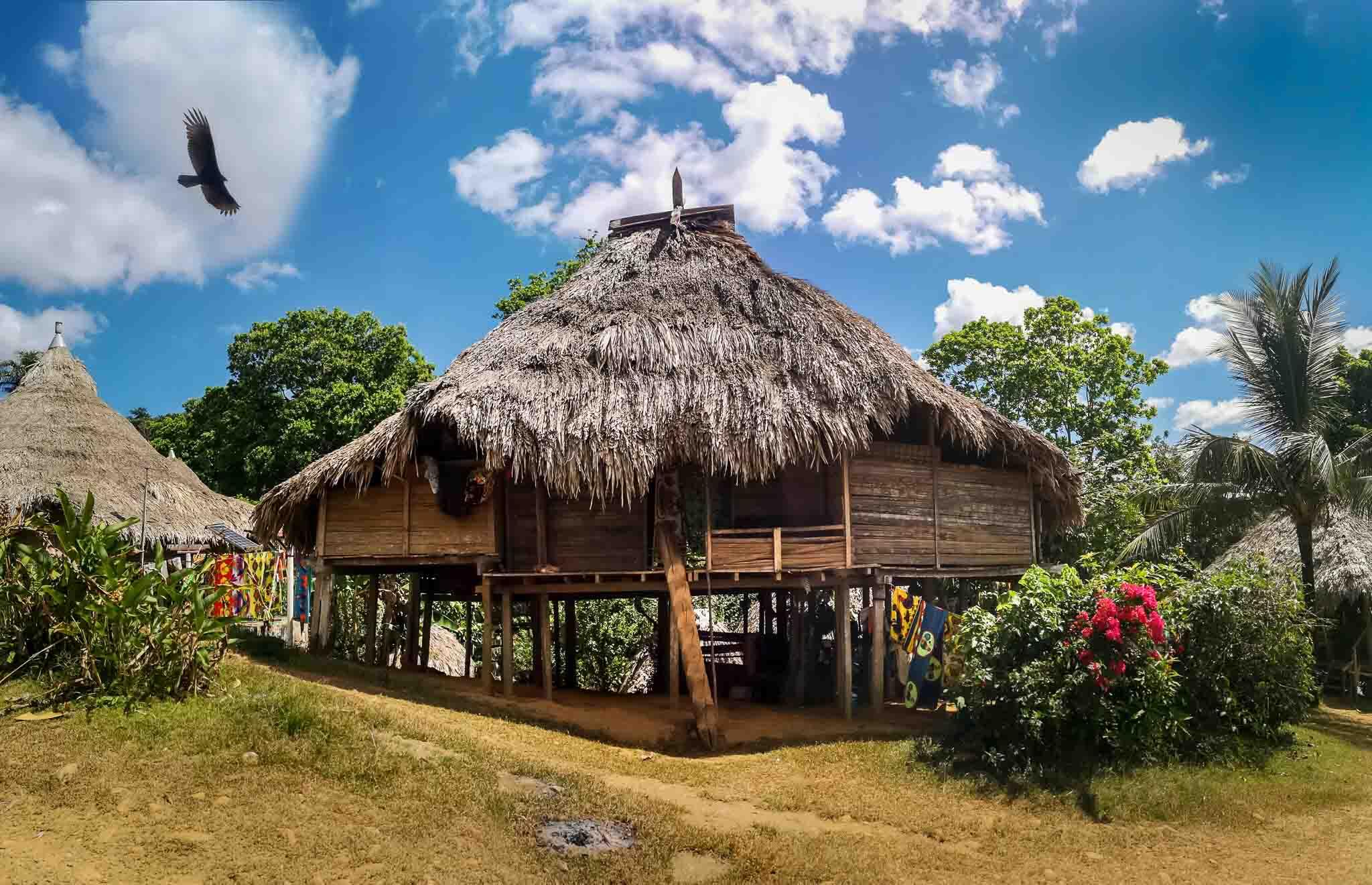 Traditional house of Embera tribe in Panama with Eagle flying ab