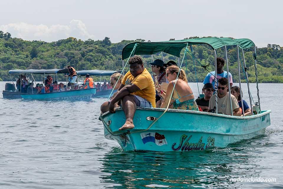 Bocas-del-Toro-tour-bahia-Honda-delfines-barcos