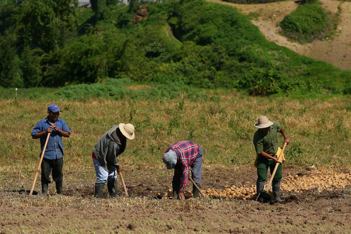 Agricultura y transformación del territorio
