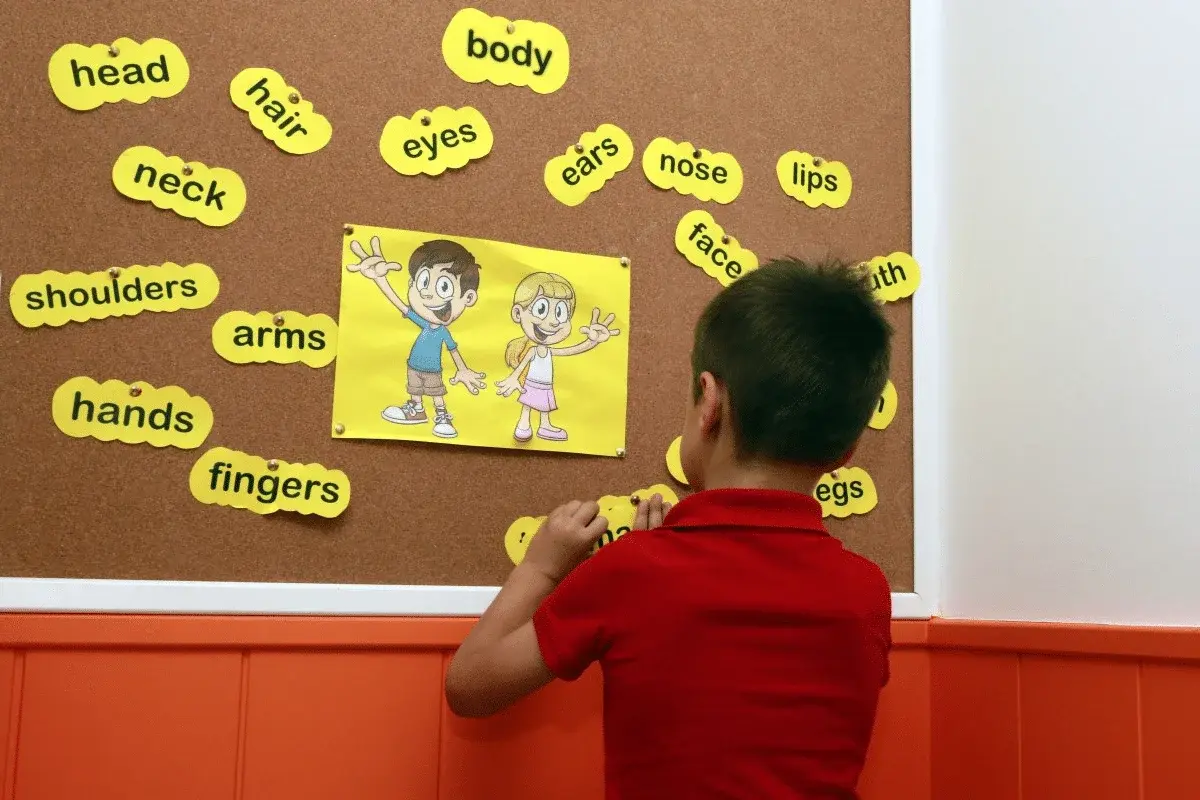Ejercicios interactivos de ingles