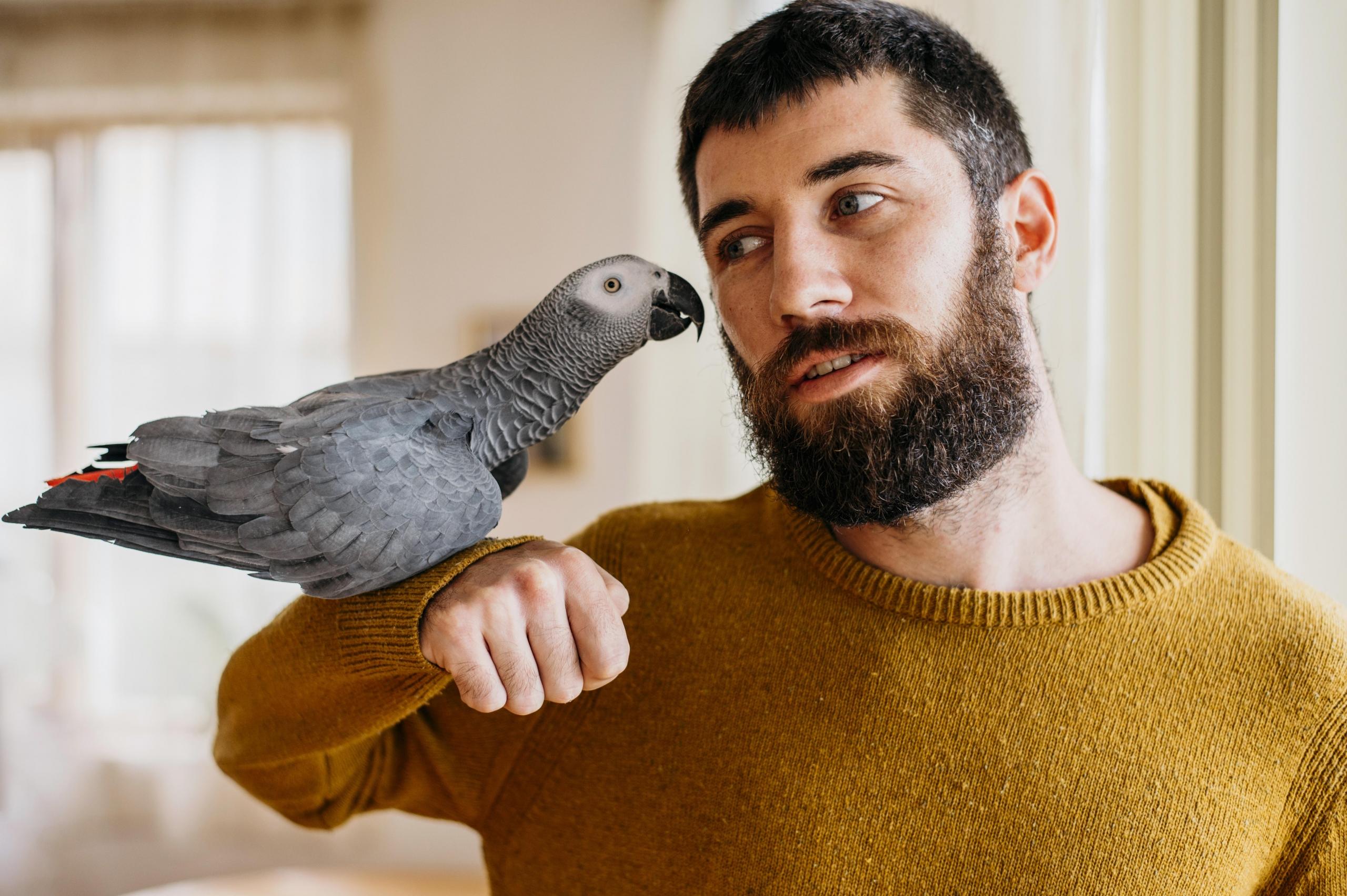 chico hablando con su ave gris en un brazo