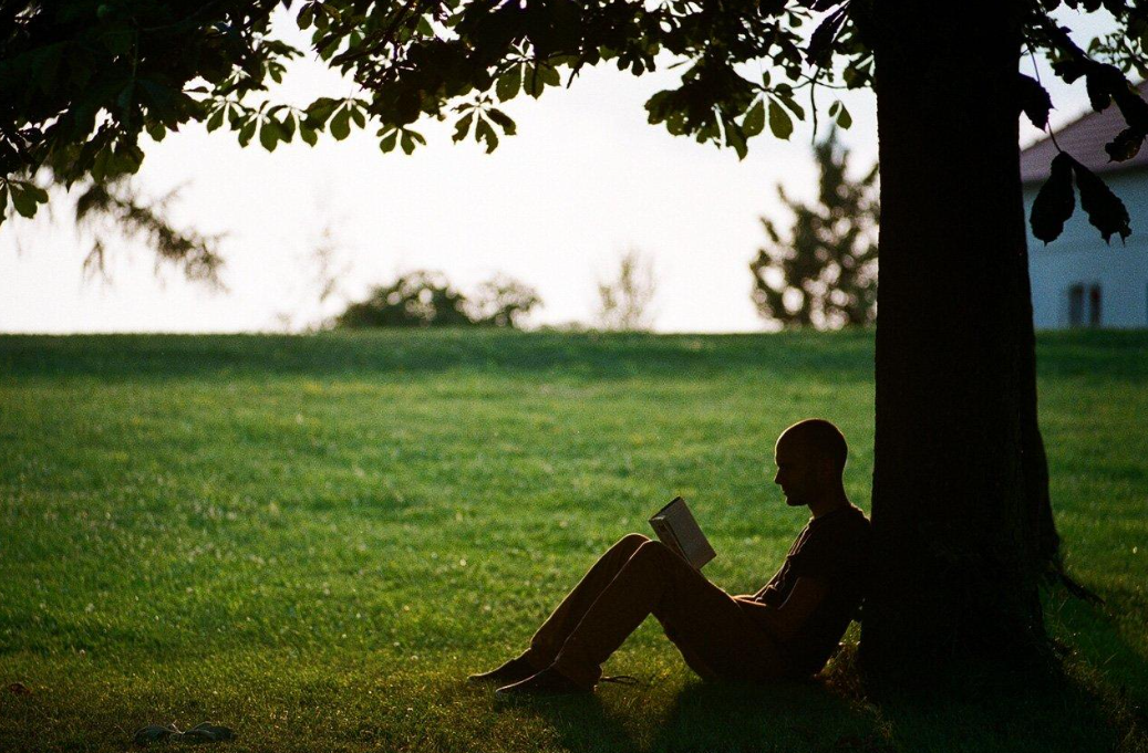una persona recostado en un arbol leyendo un libro