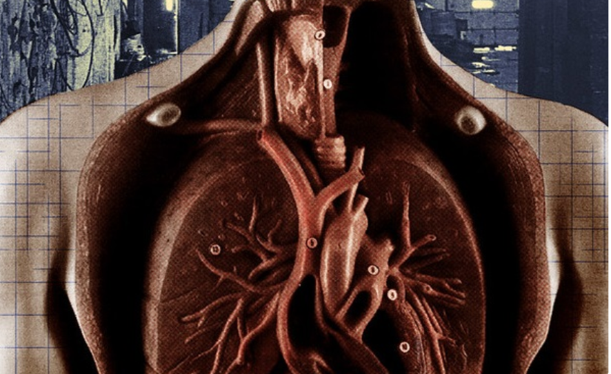 tórax de un cuerpo humano.