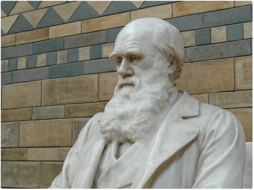 Estatua de Charles Darwin.