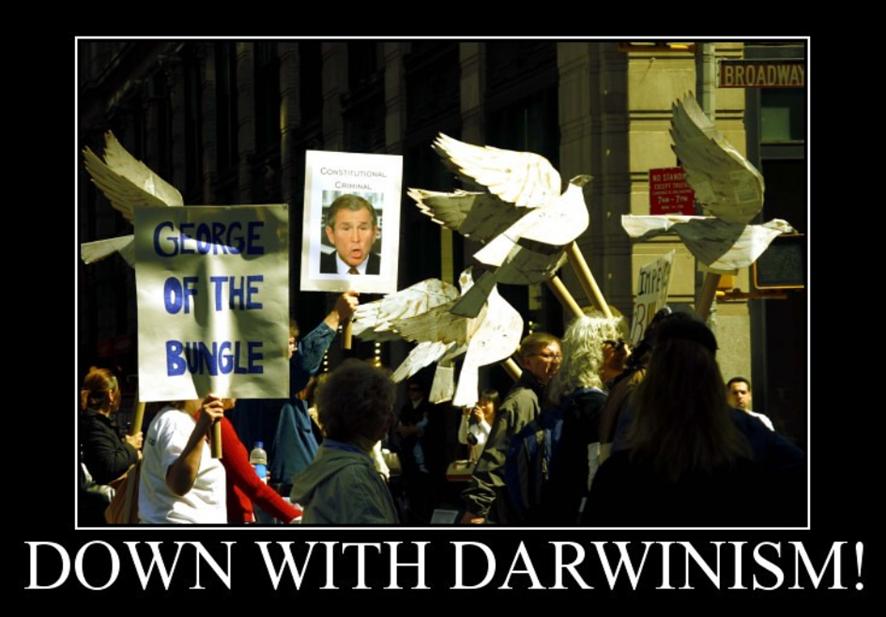 personas con carteles de Charles Darwin y palomas blancas en la calle