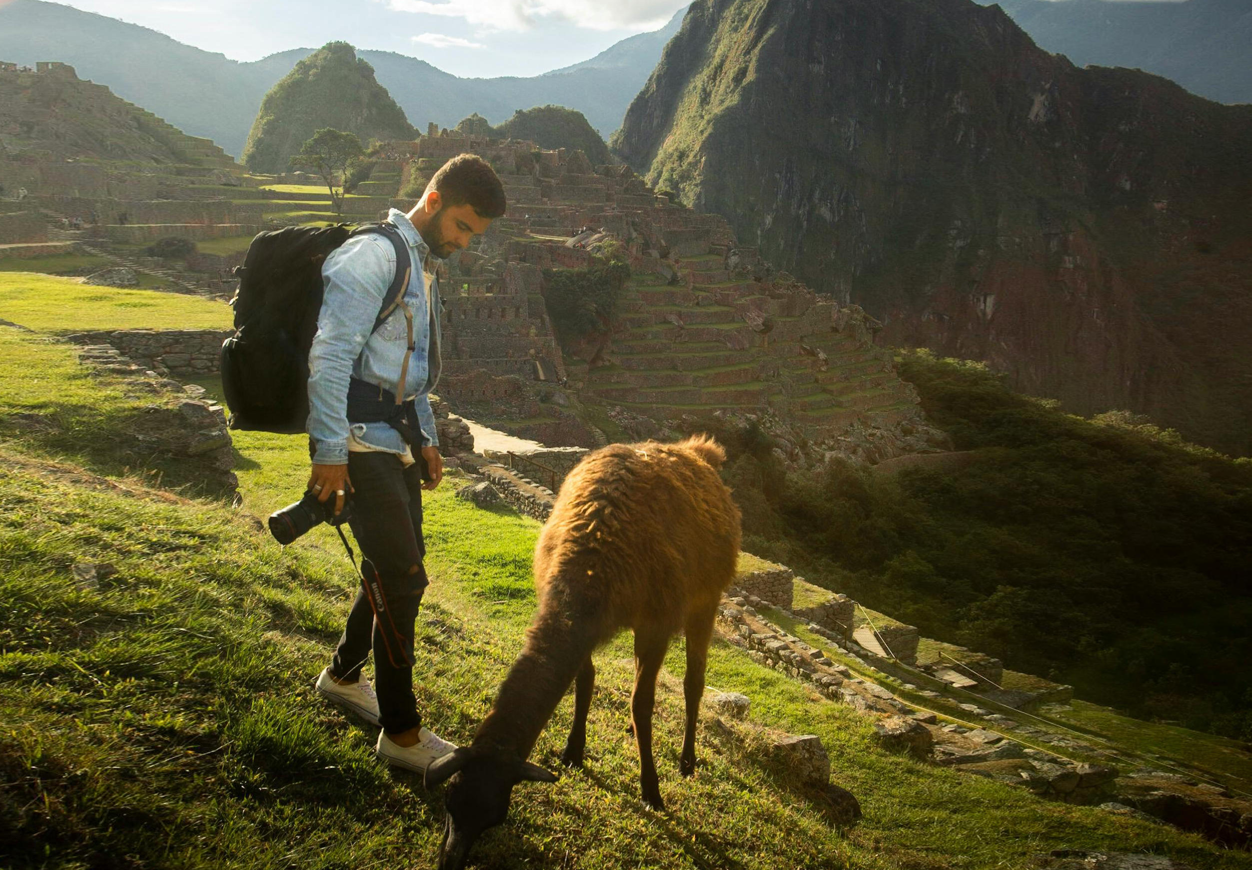 turista en machu picchu junto a una llama