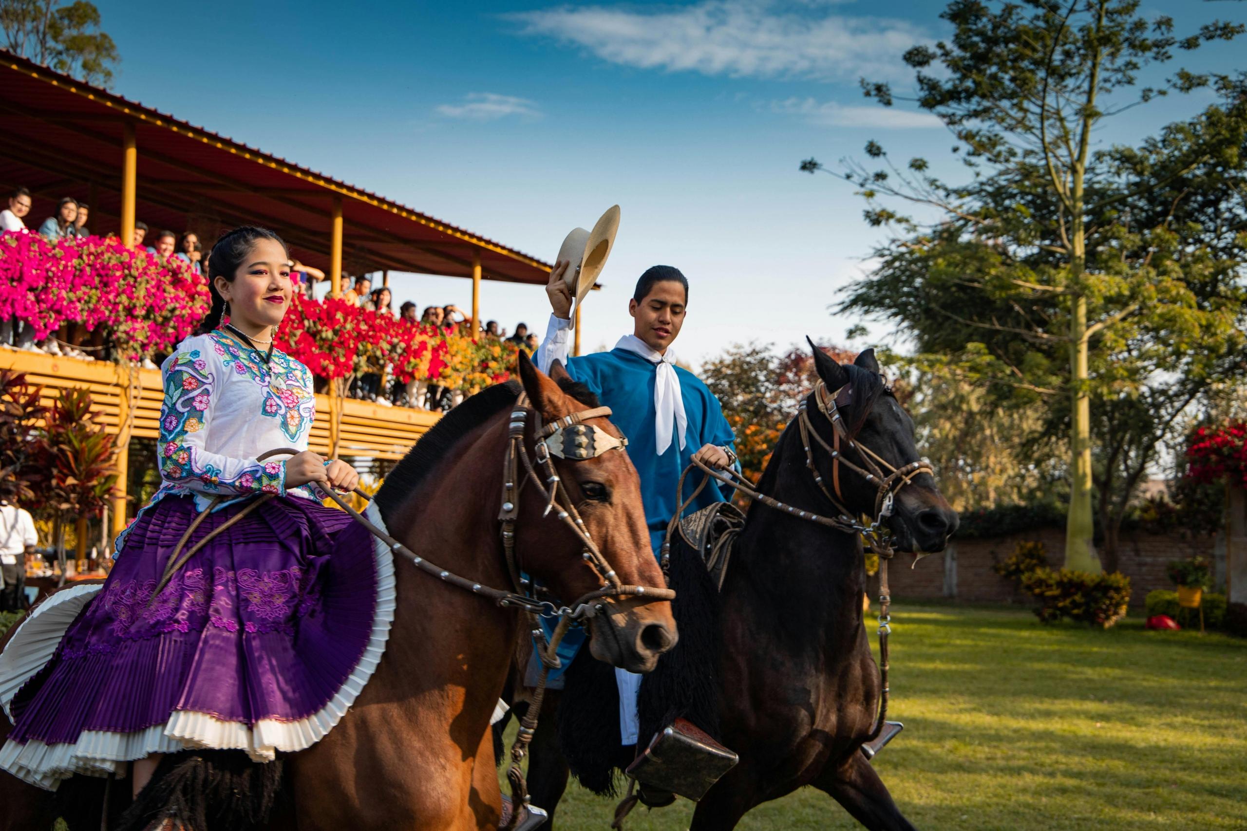 vista de 2 caballos de paso con bailarines de marinera hombre y mujer sobre ellos
