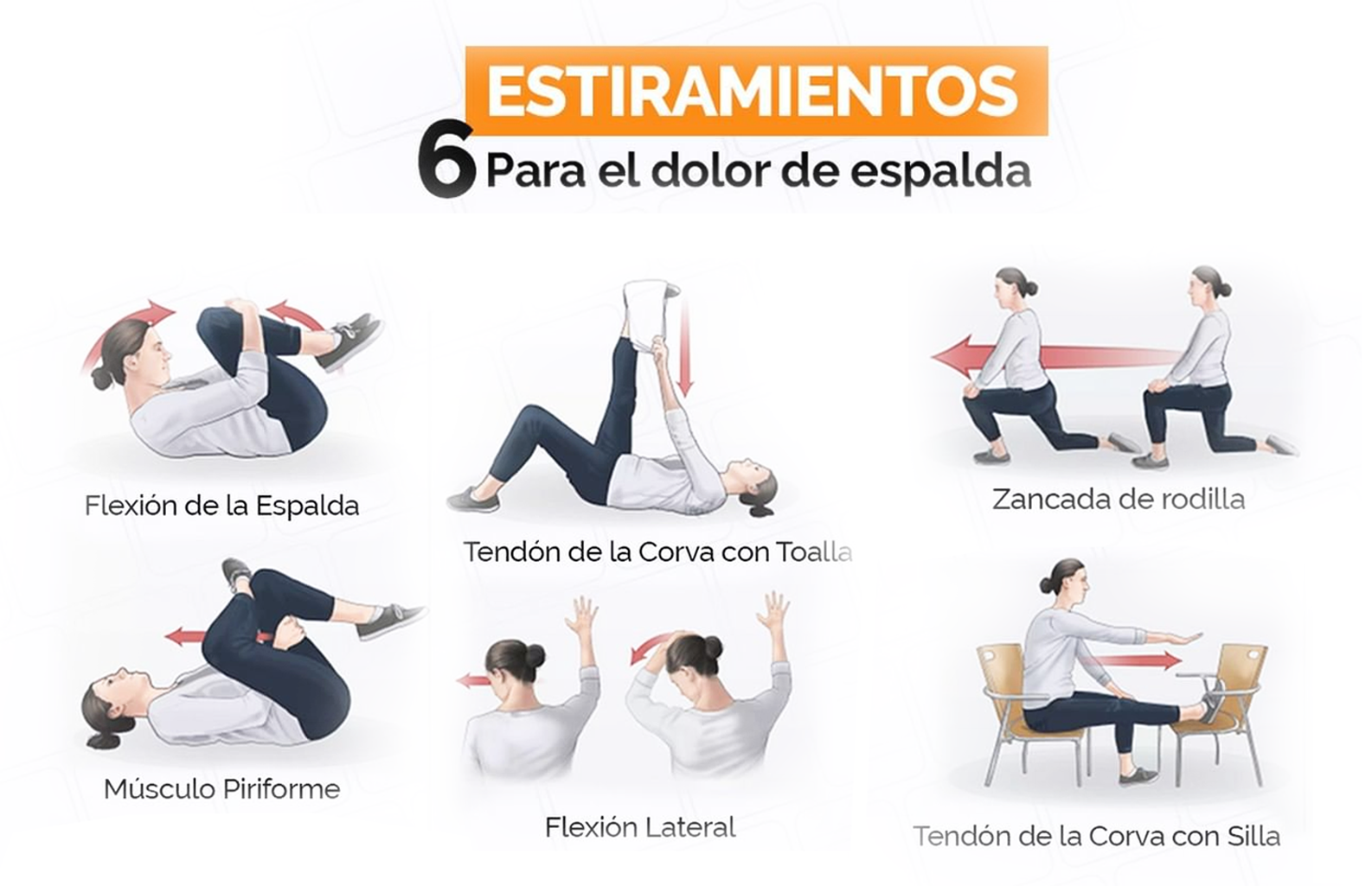 imagen con ilustraciones de 6 ejercicios para combatir el dolor de espalda