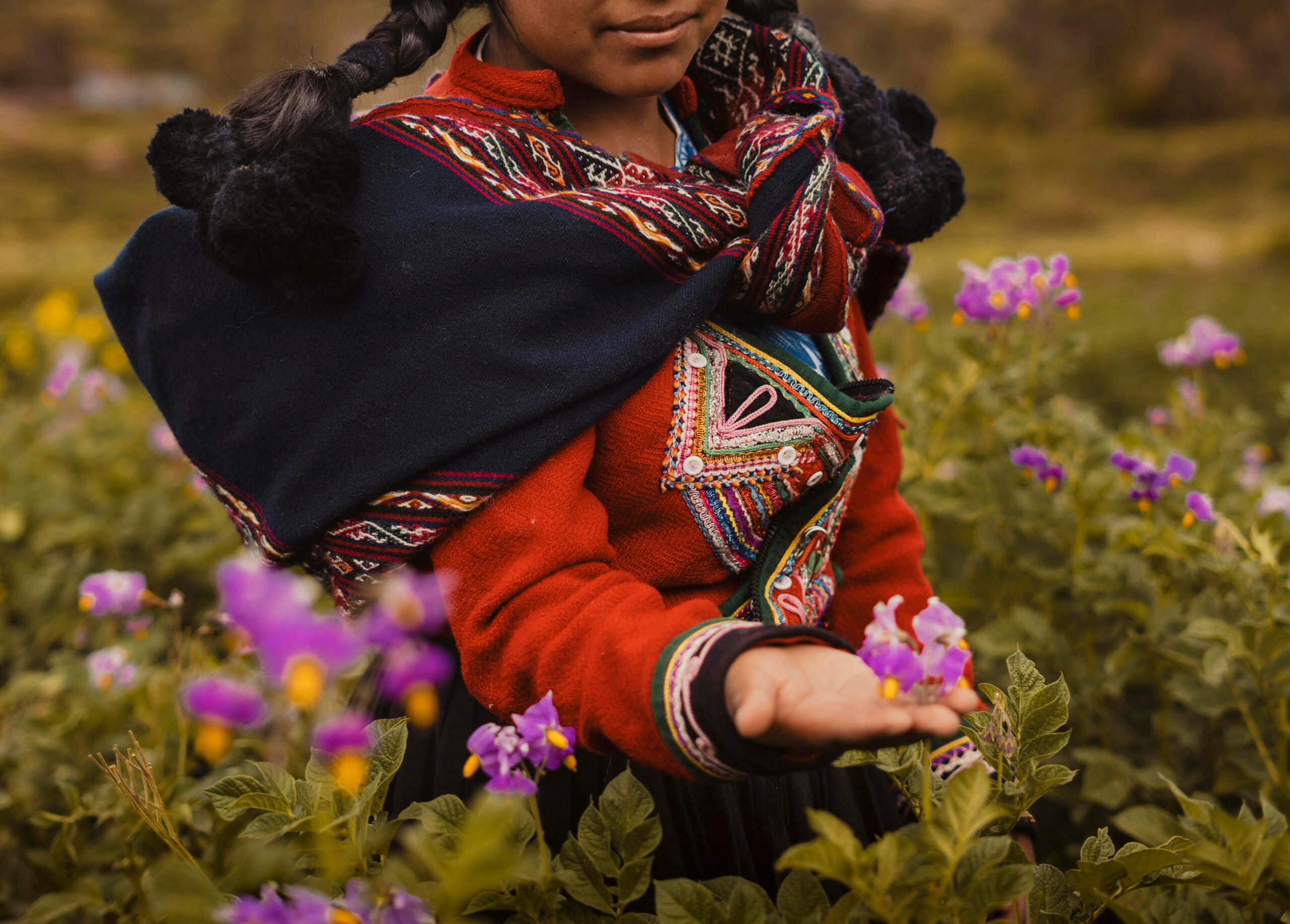 vista de mujer andina sosteniendo flor de una papa en un campo de cultivos