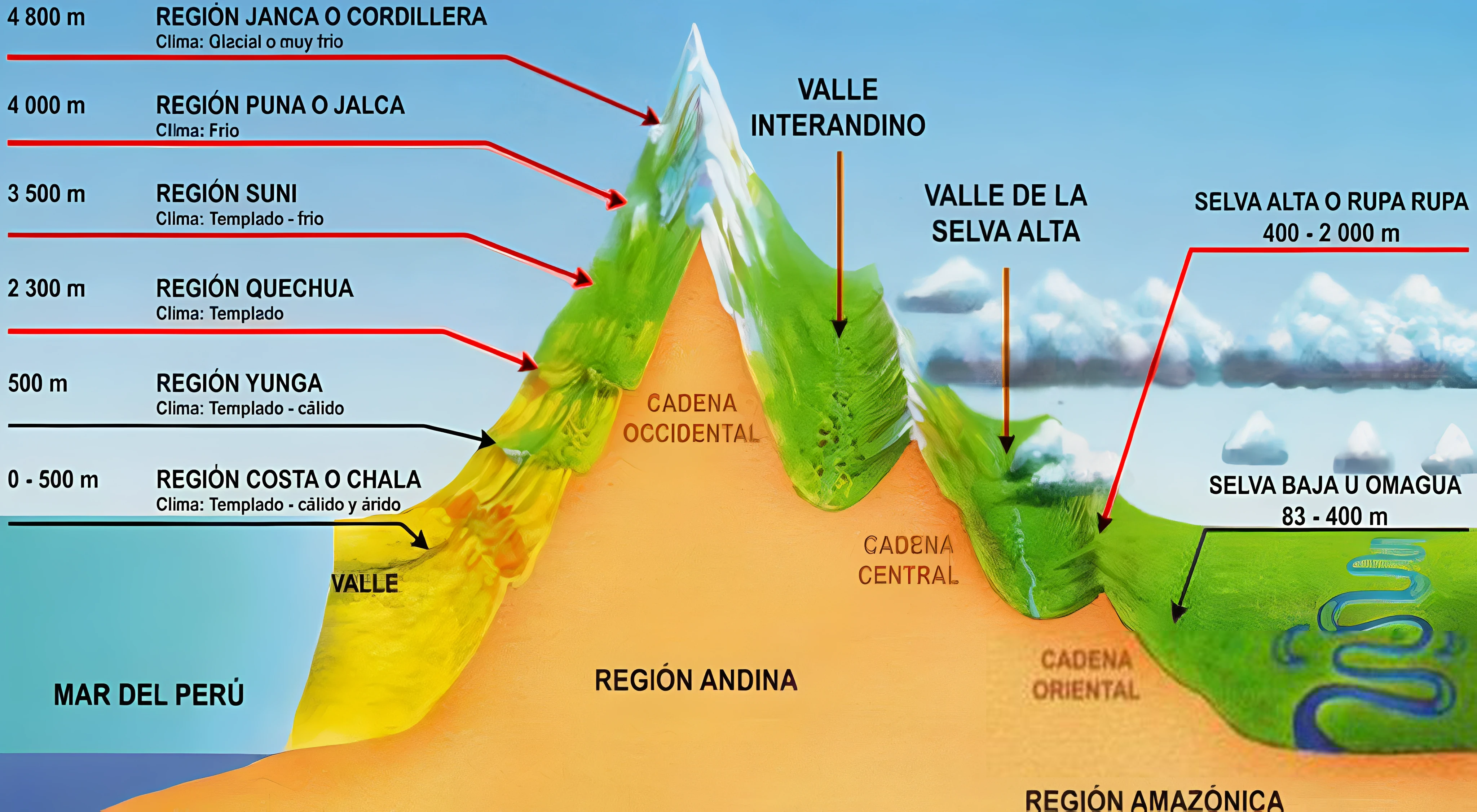 infografía con los ocho pisos altitudinales de las ecorregiones propuestas por Javier Pulgar Vidal