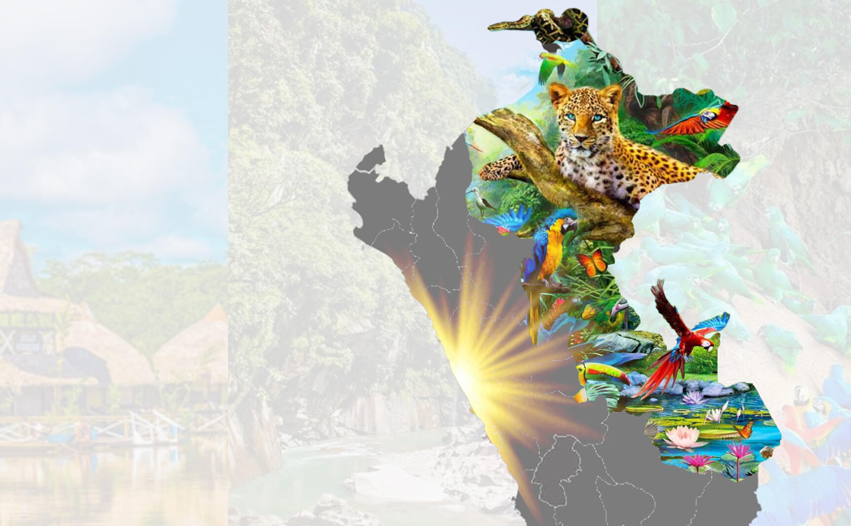 mapa del peru con la zona de la selva peruana resaltada con flora y fauna saliendo del sector
